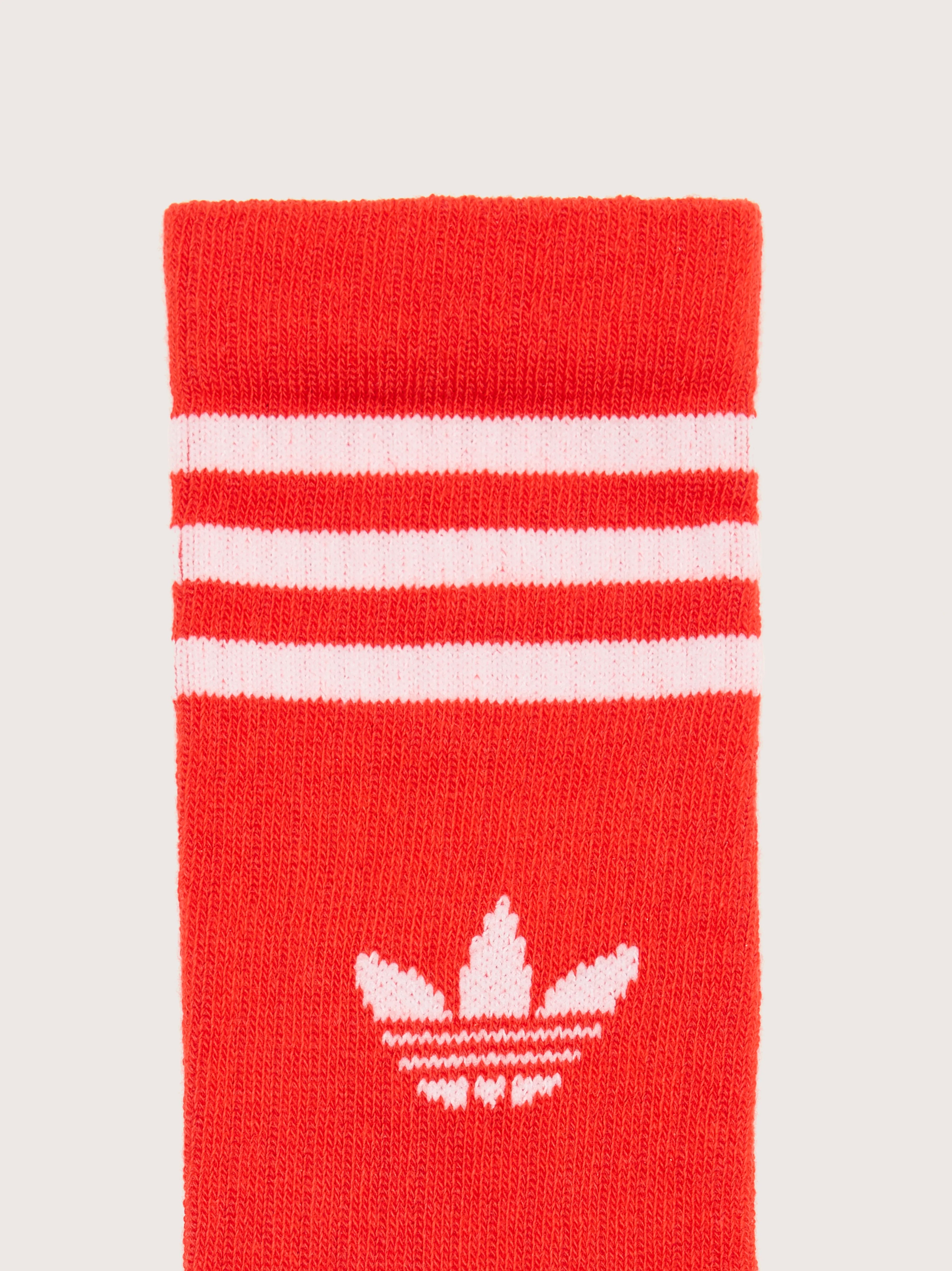 Crew Socks for Juniors (242 / G / MULTICOLOR)