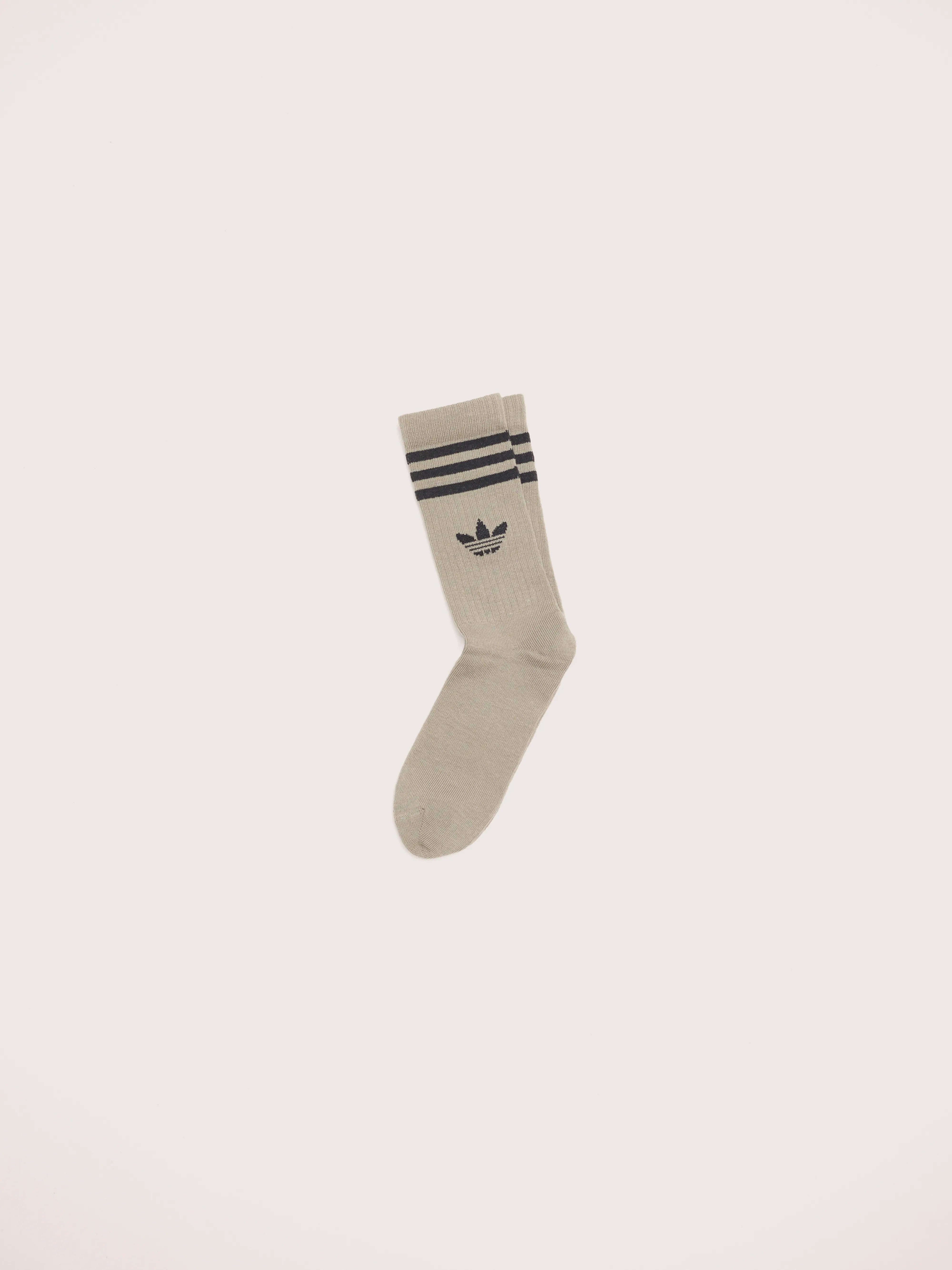 Crew Socks for Kids (242 / G / MULTICOLOR)