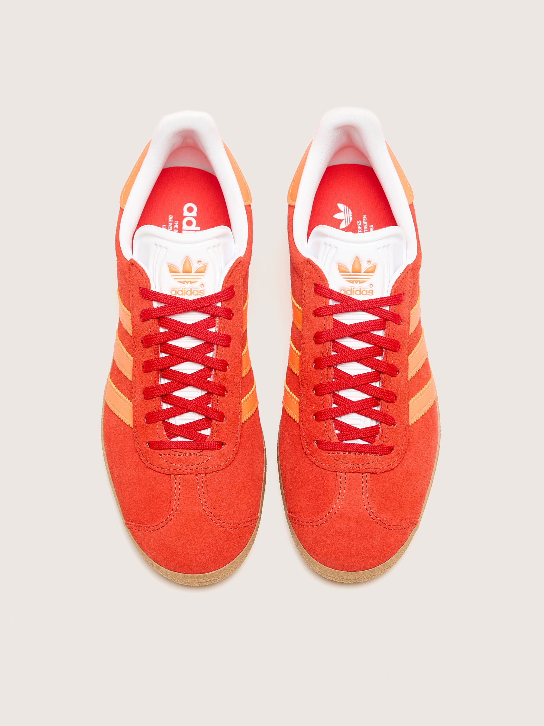 Gazelle voor Vrouwen (242 / W / RED)