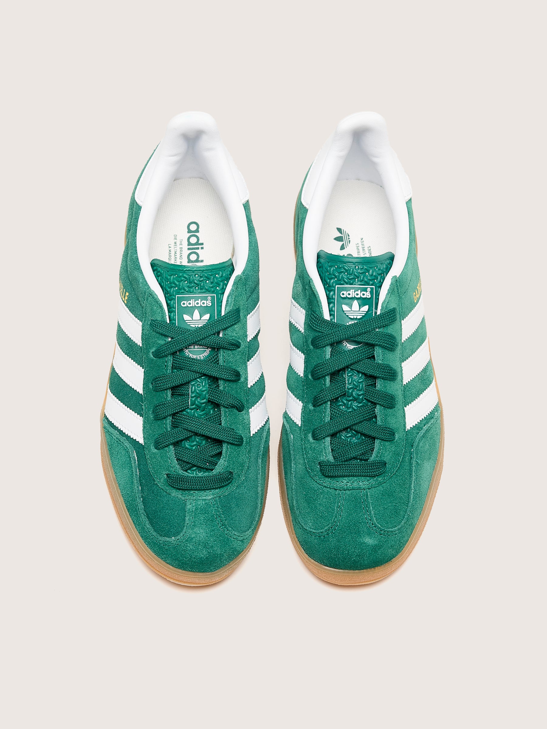 Gazelle Indoor pour Femmes (242 / W / GREEN)