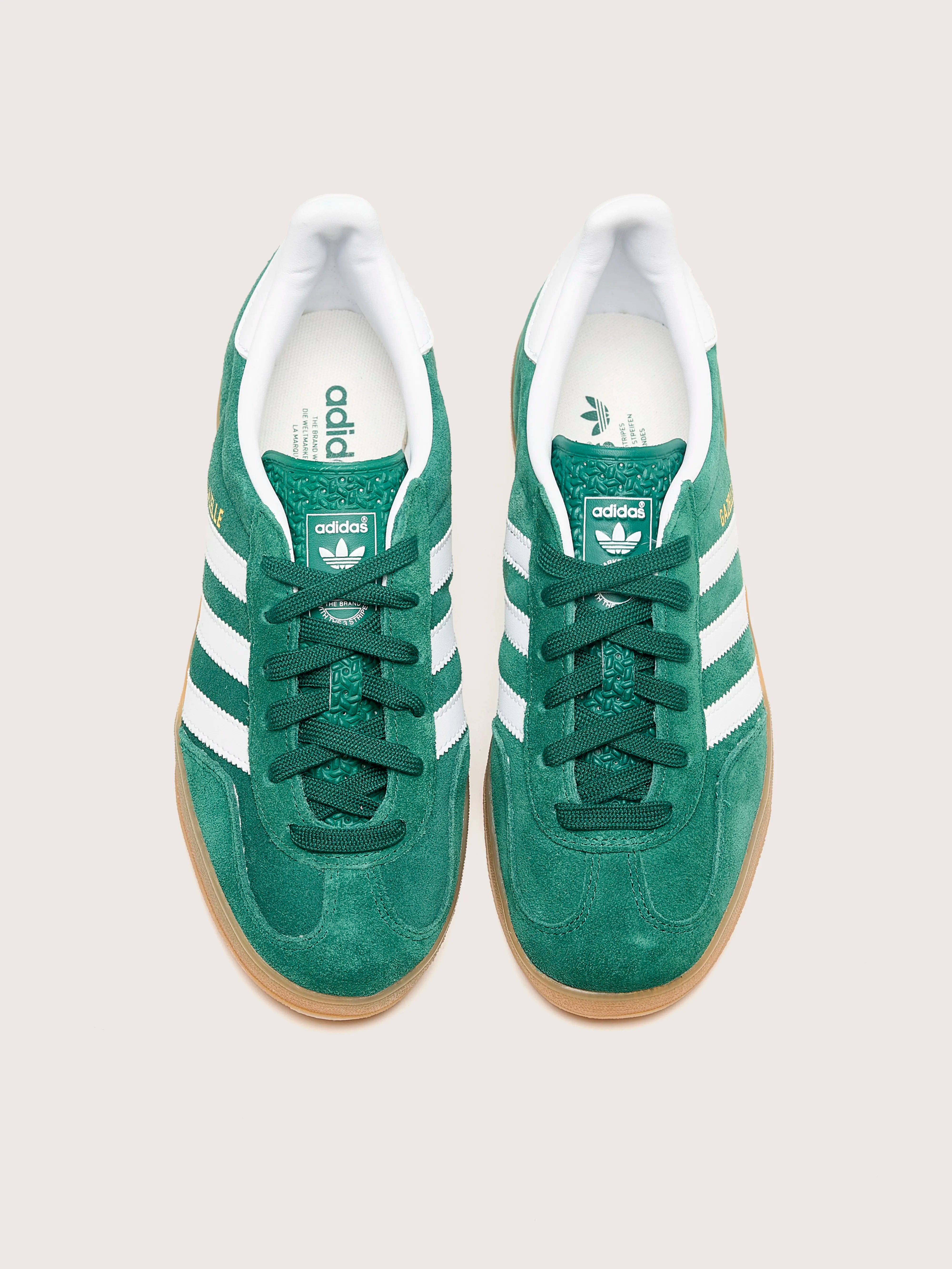 Gazelle Indoor for Women (242 / W / GREEN)