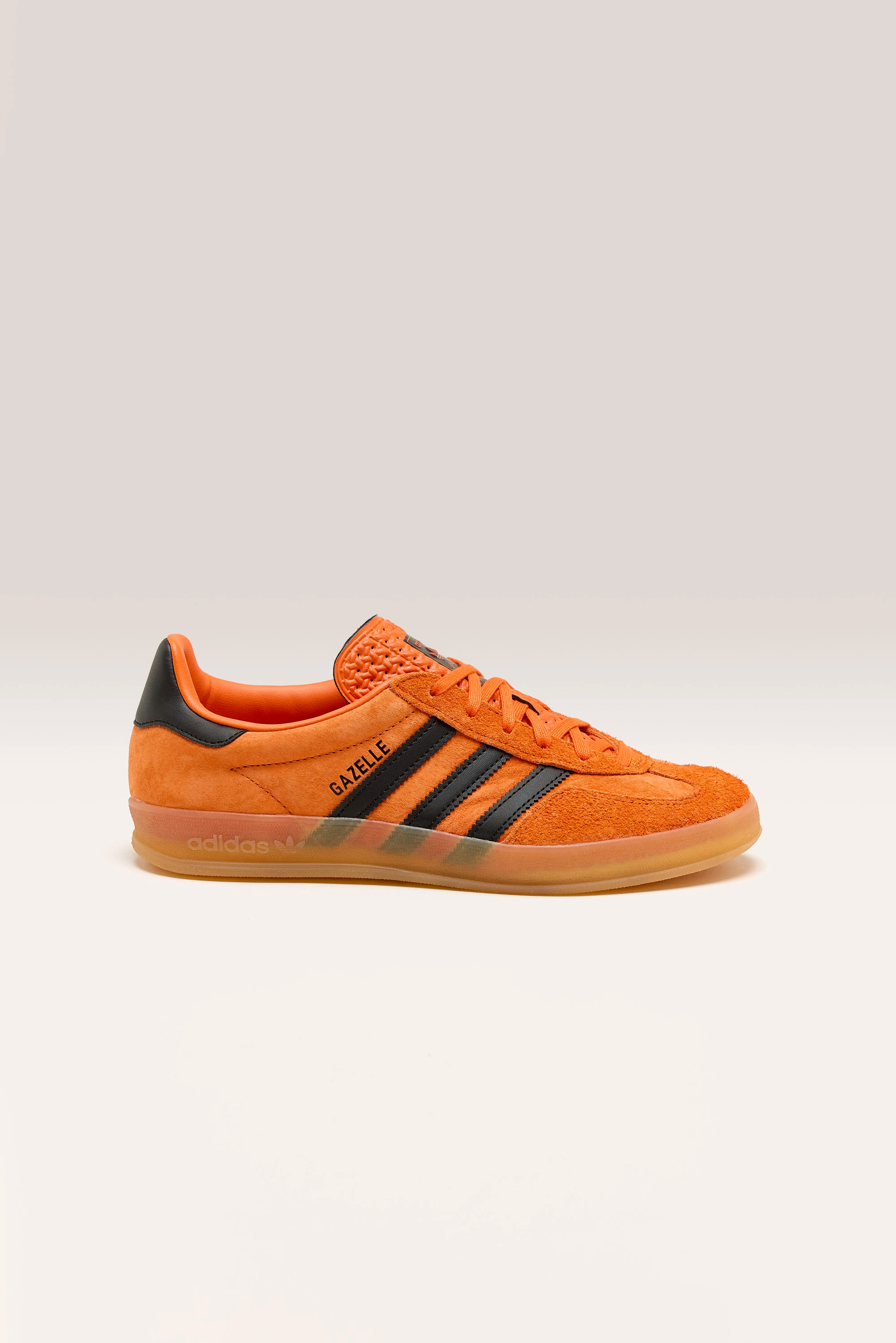 Orange and black gazelles online