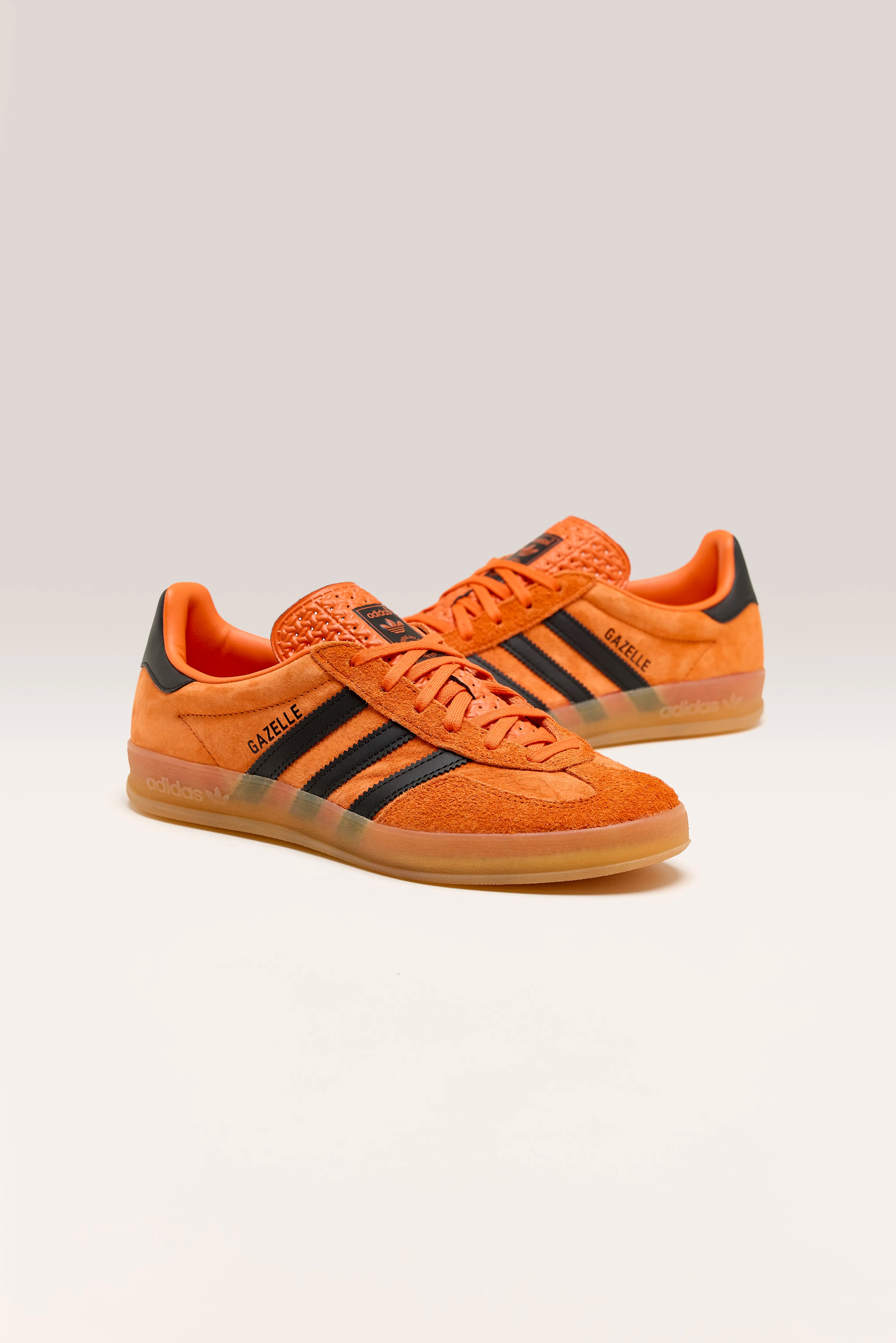 Gazelle Indoor voor Vrouwen (242 / W / ORANGE)