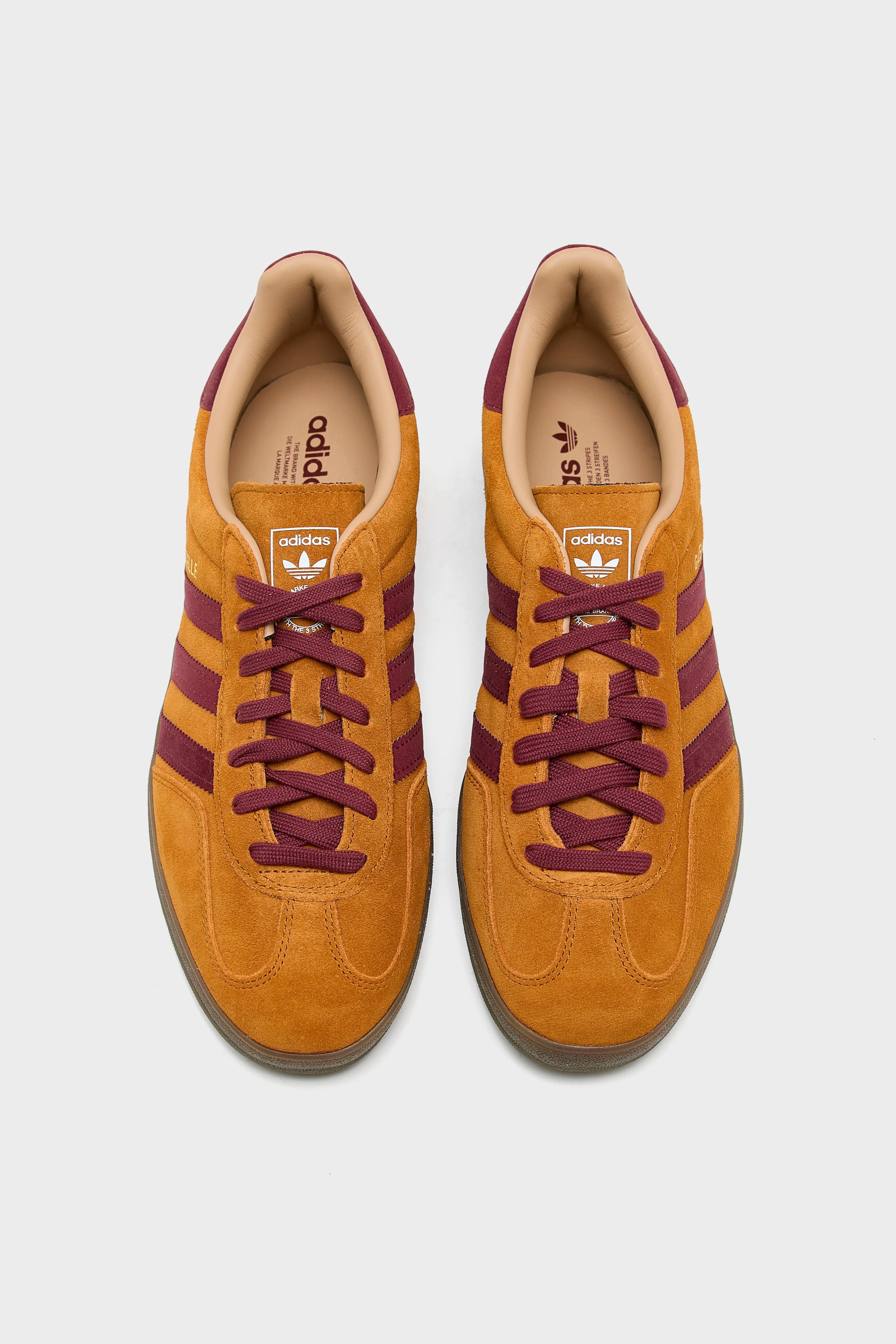 Gazelle Indoor Voor Mannen Voor Heren | Bellerose