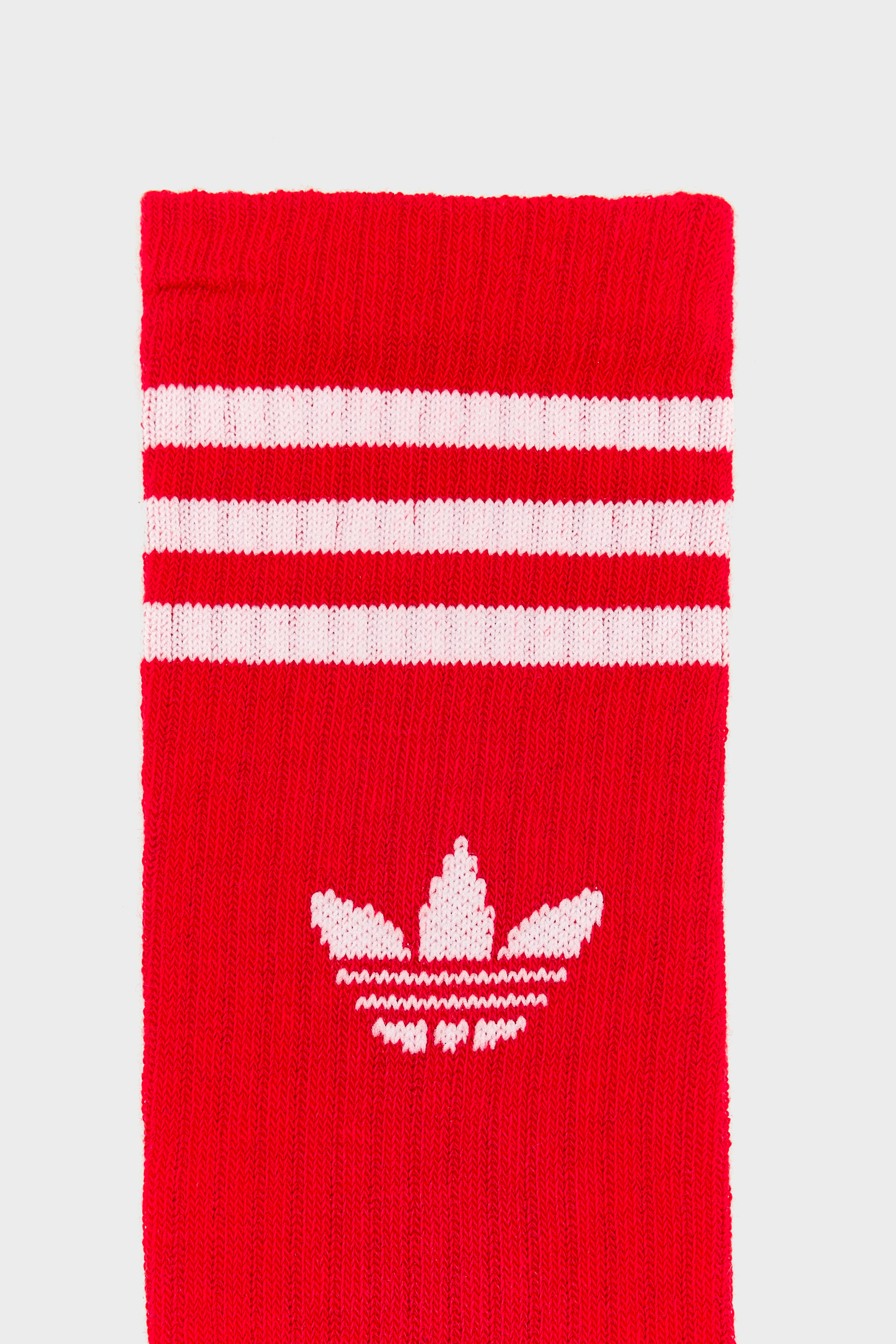 Crew Socks for Kids  (251 / G / MULTICOLOR)