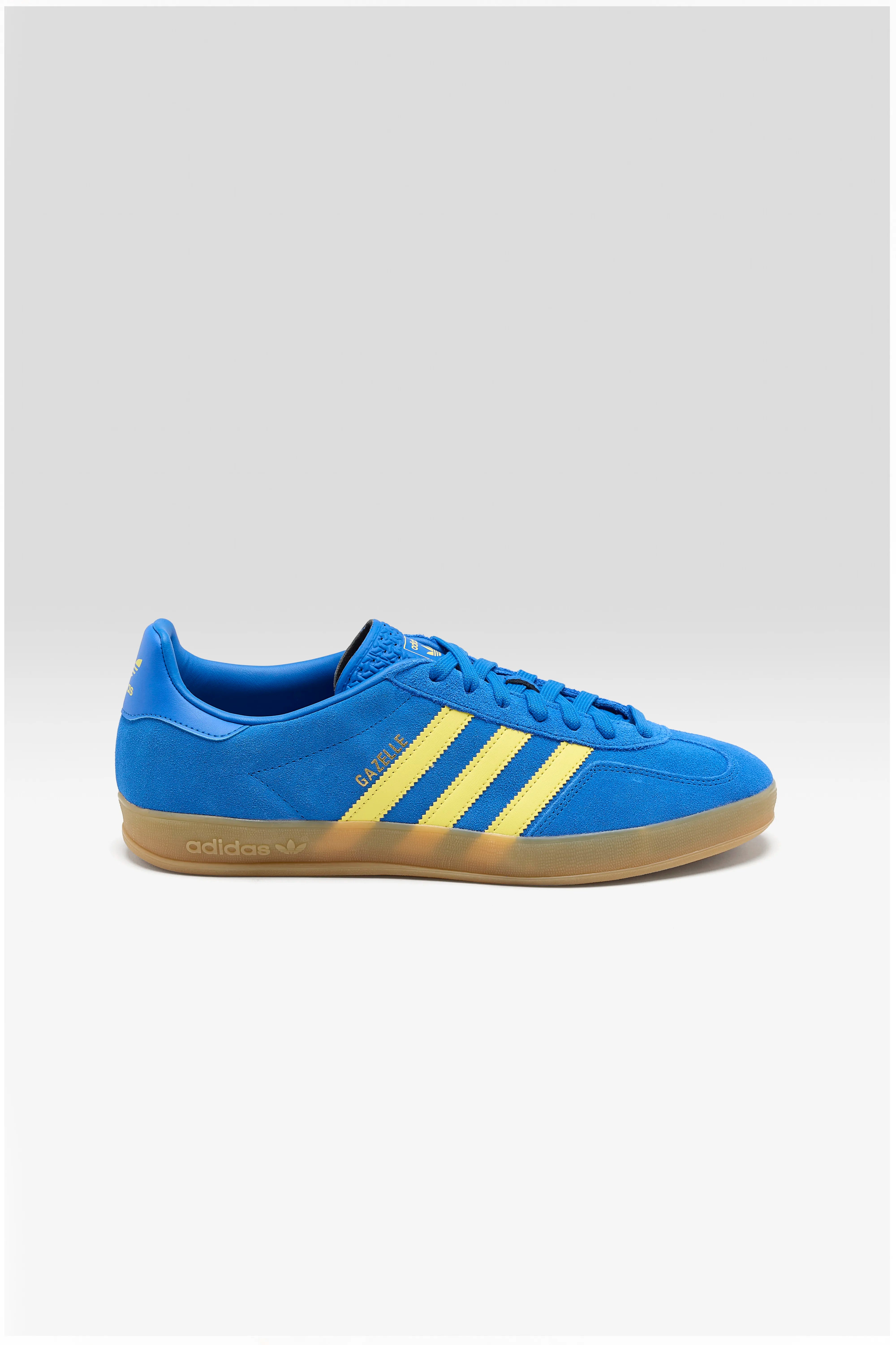 Gazelle Indoor for Men  (251 / M / BLUE)