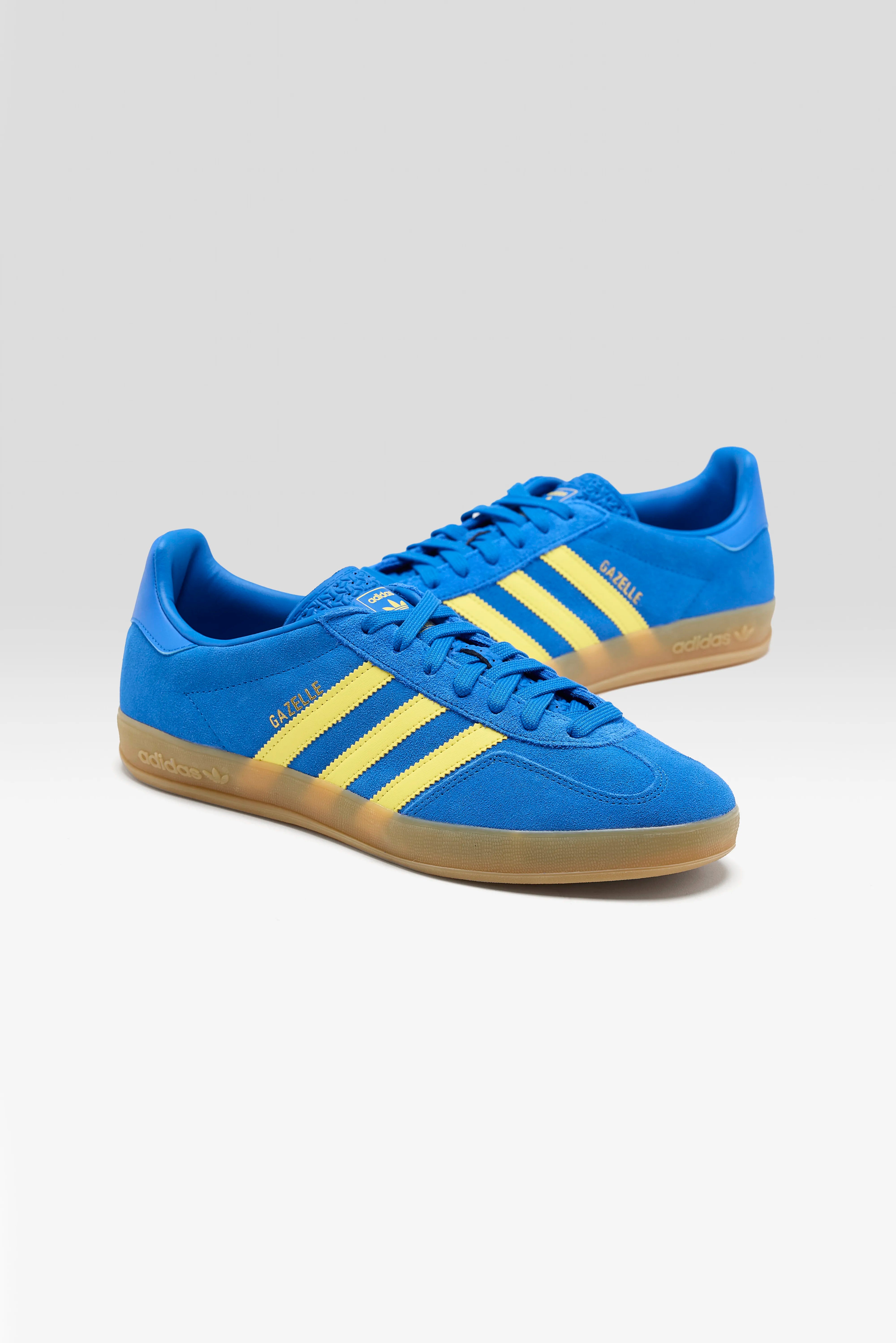 Gazelle Indoor for Men  (251 / M / BLUE)