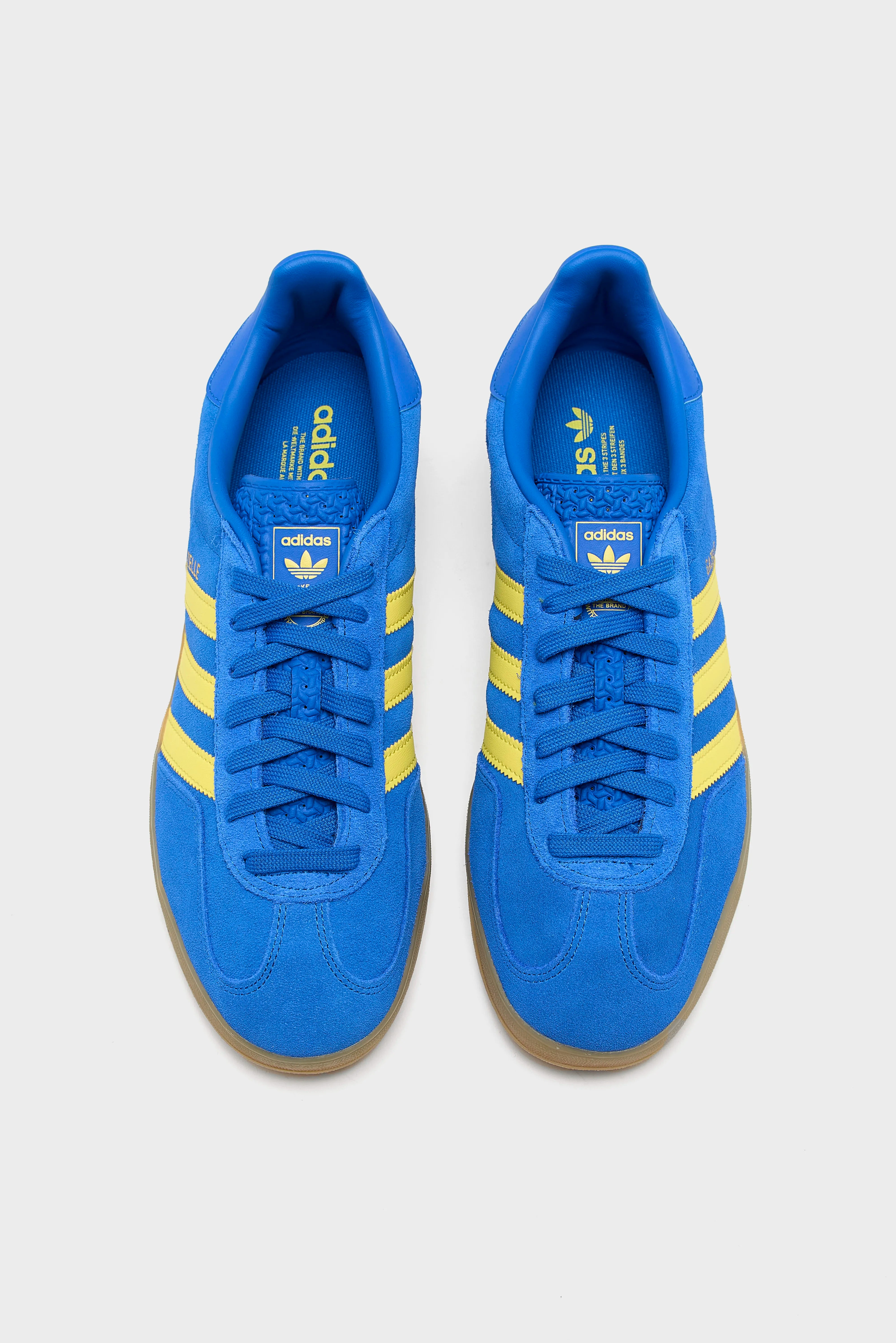 Gazelle Indoor Voor Mannen Voor Heren | Bellerose