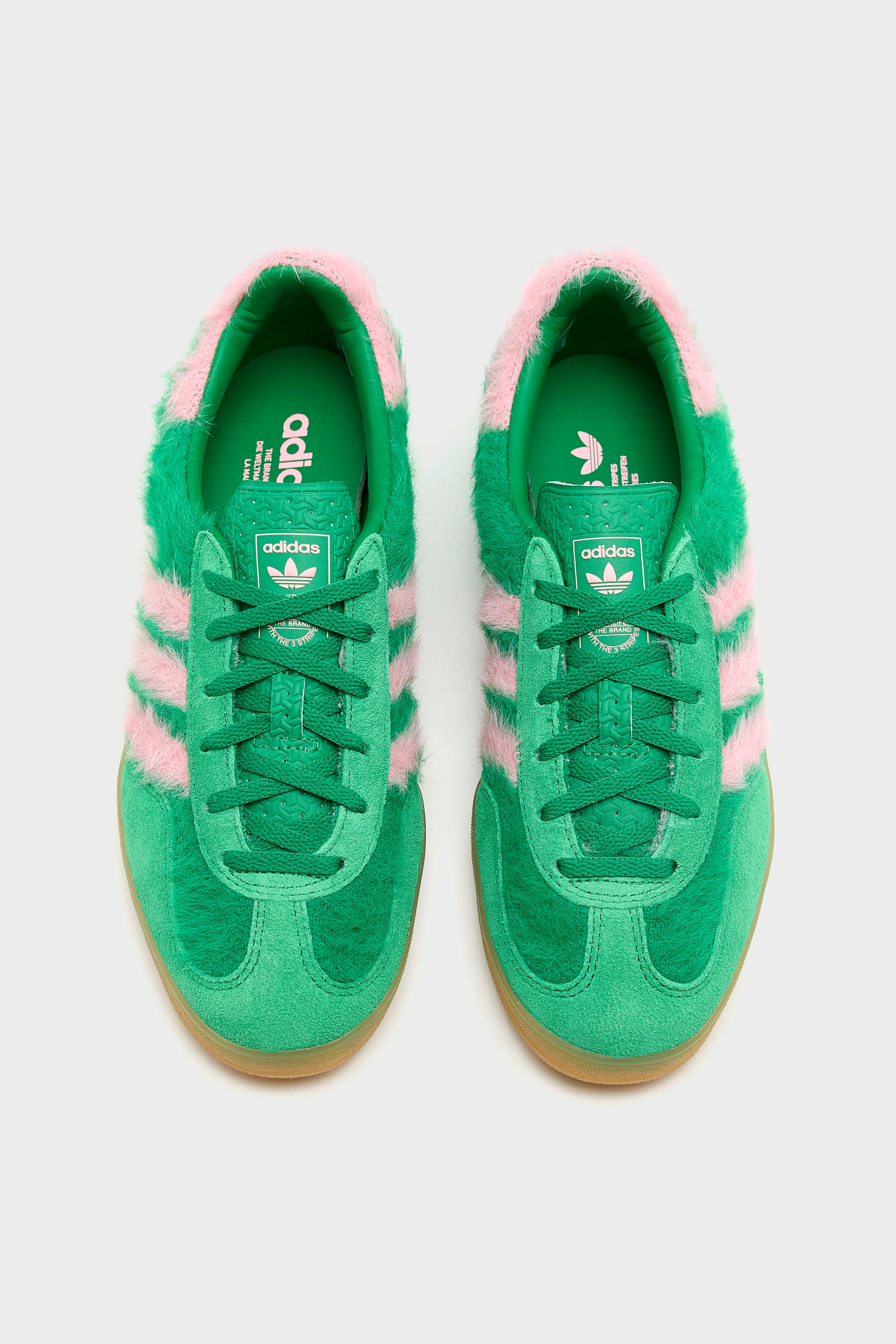 Gazelle Indoor pour Femmes  (252 / W / GREEN)
