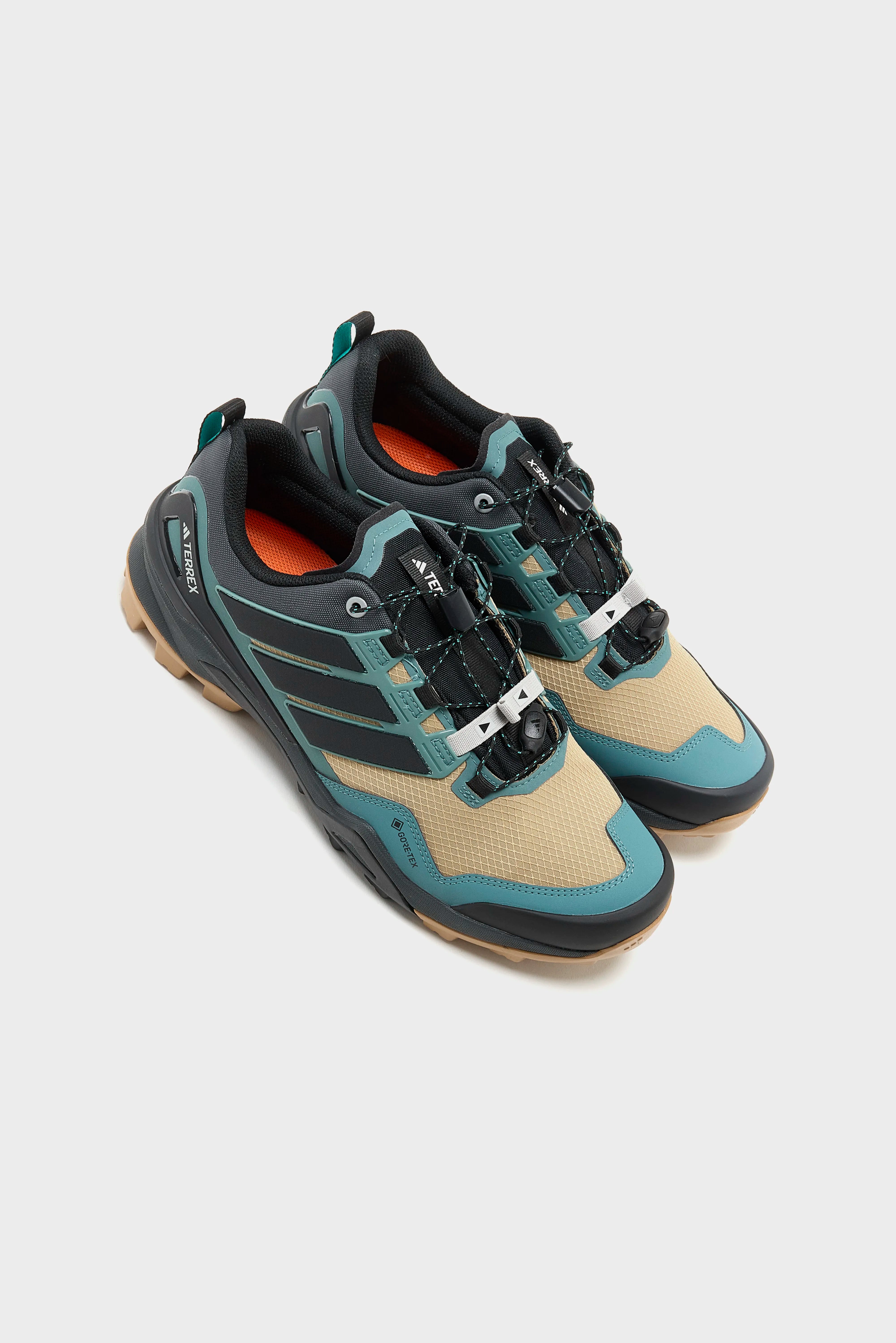 Terrex Skychaser Gore-Tex for Men  (252 / M / BROWN)