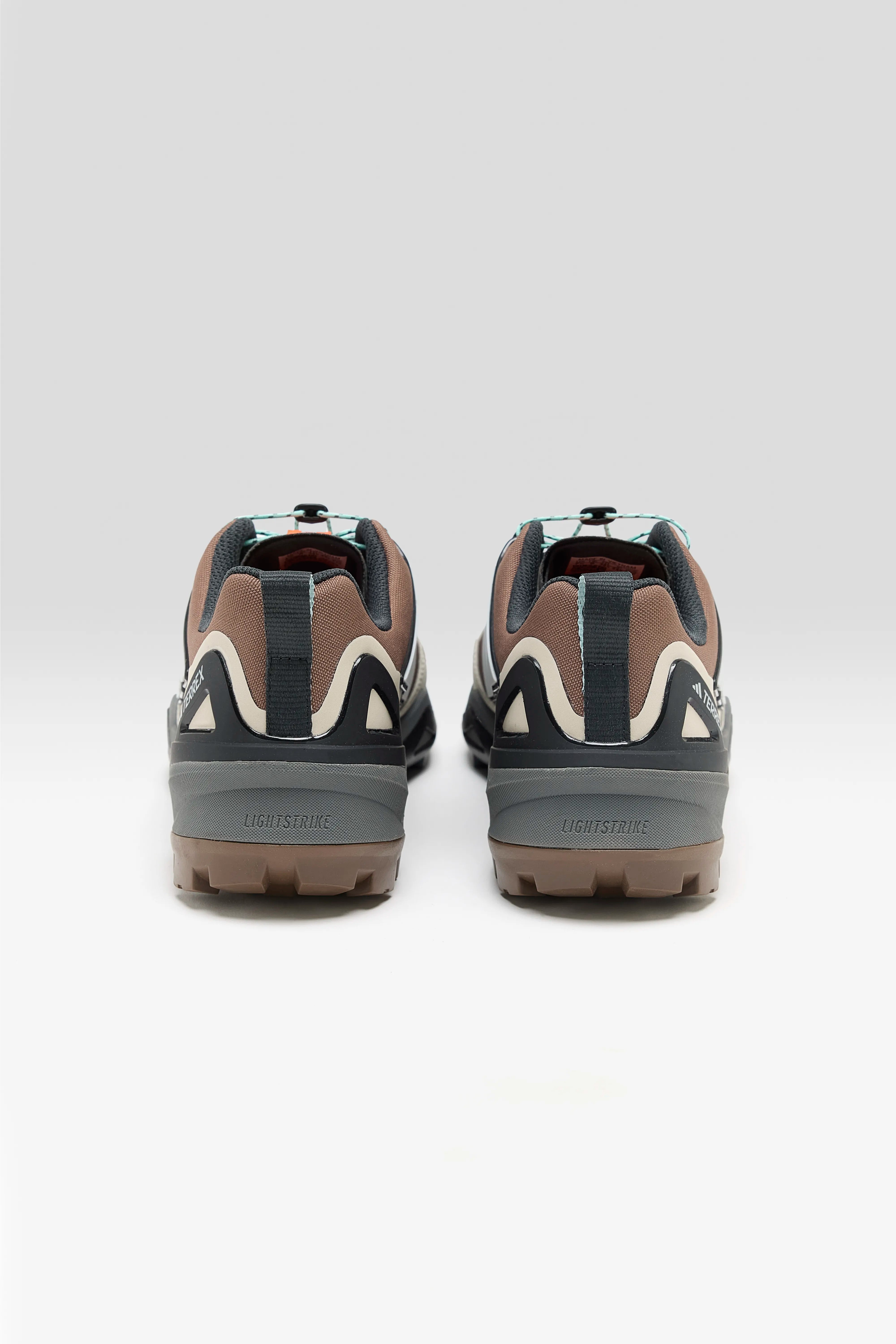Terrex Skychaser Gore-Tex voor Vrouwen  (252 / W / BROWN)