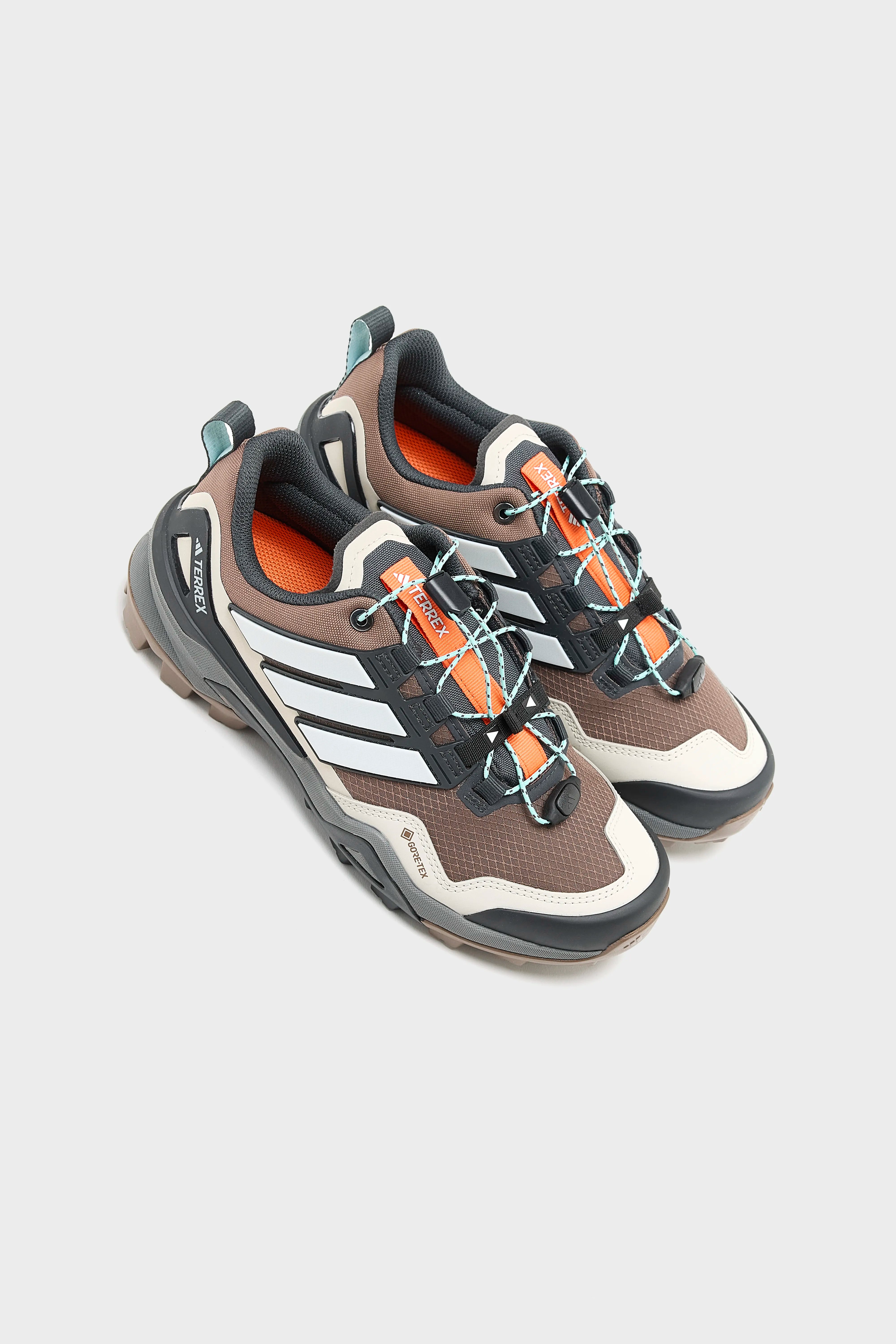 Terrex Skychaser Gore-Tex voor Vrouwen  (252 / W / BROWN)