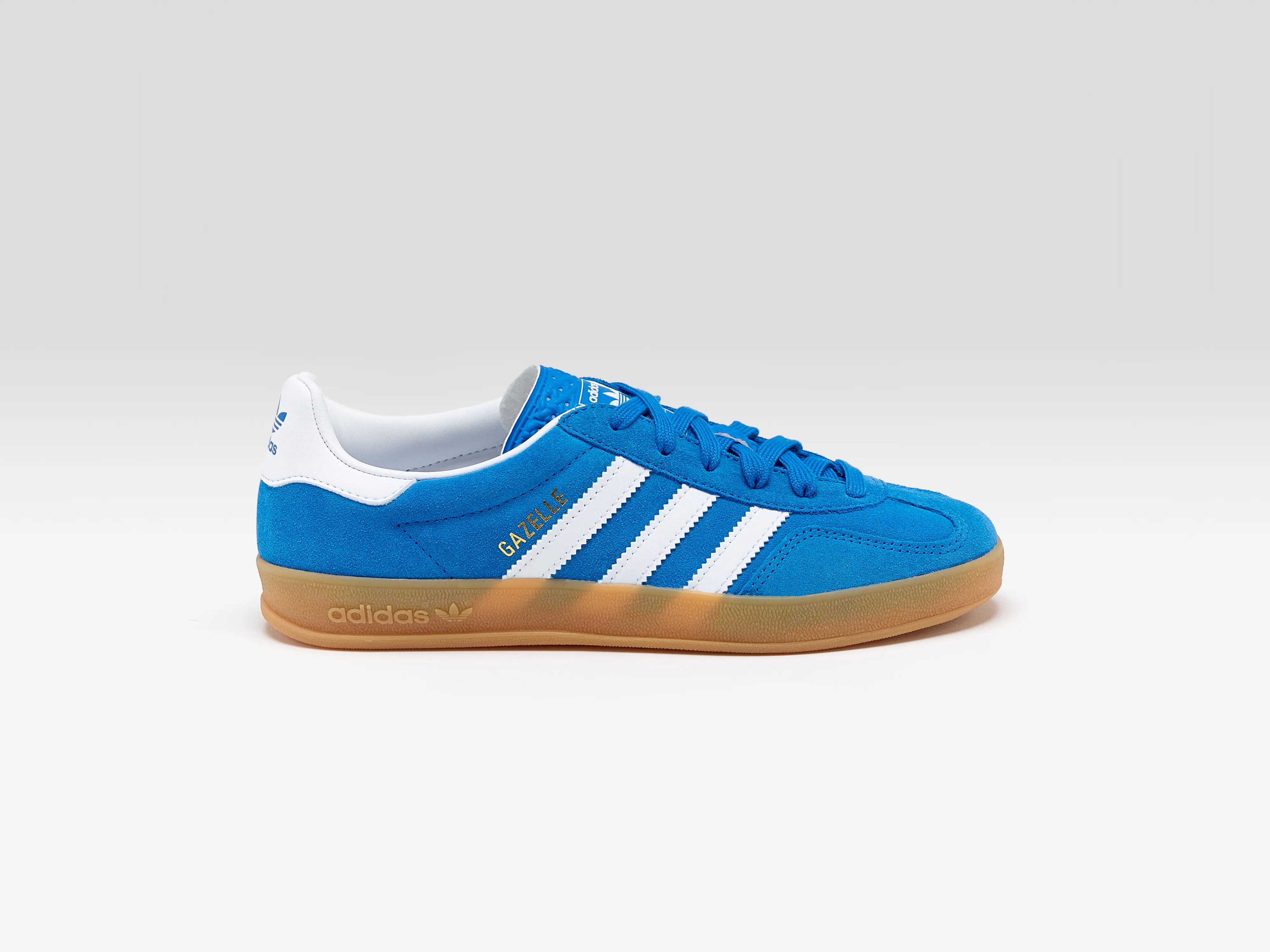 Gazelle Indoor pour Juniors (252 / G / BLUE)