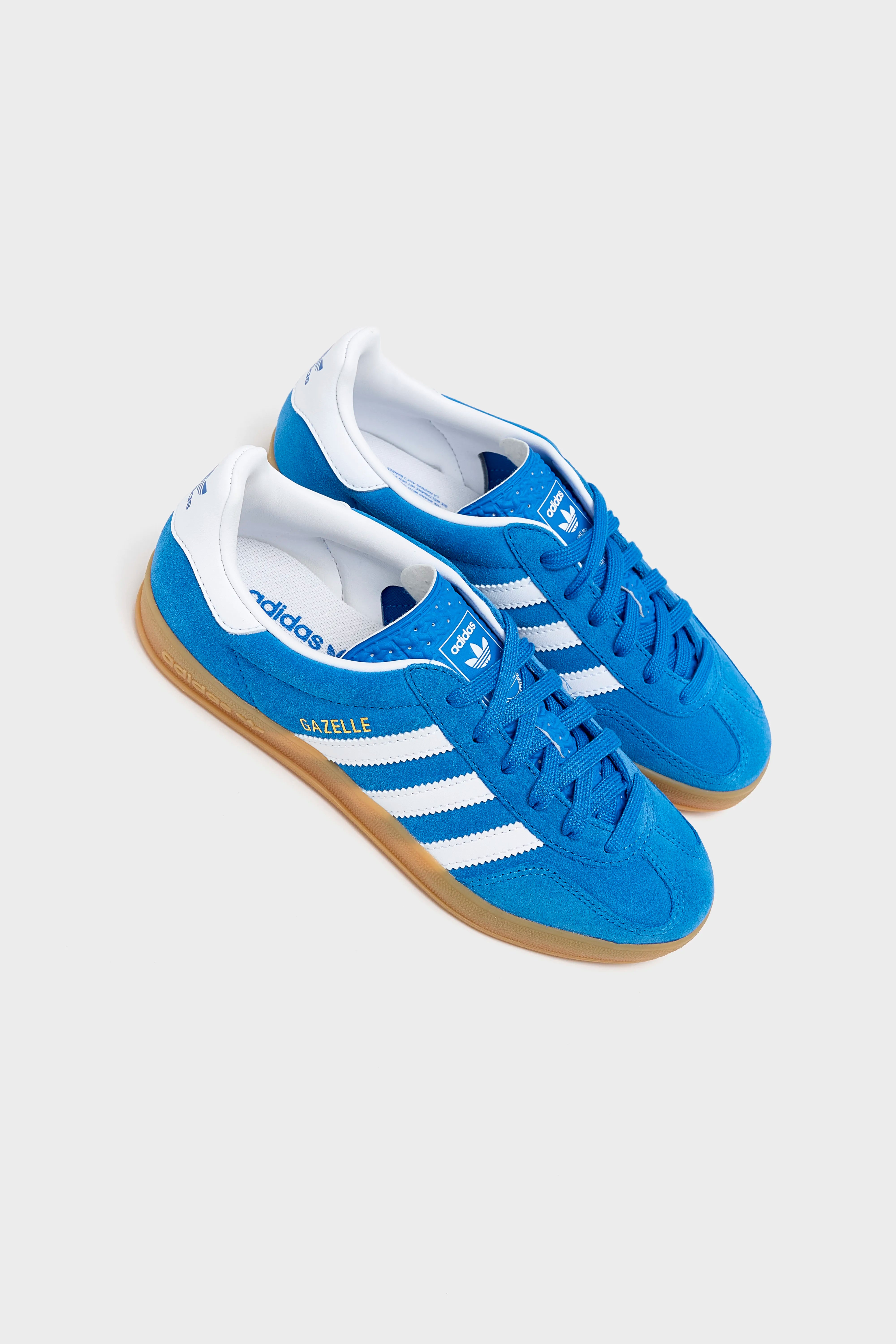 Gazelle Indoor pour Juniors (252 / G / BLUE)