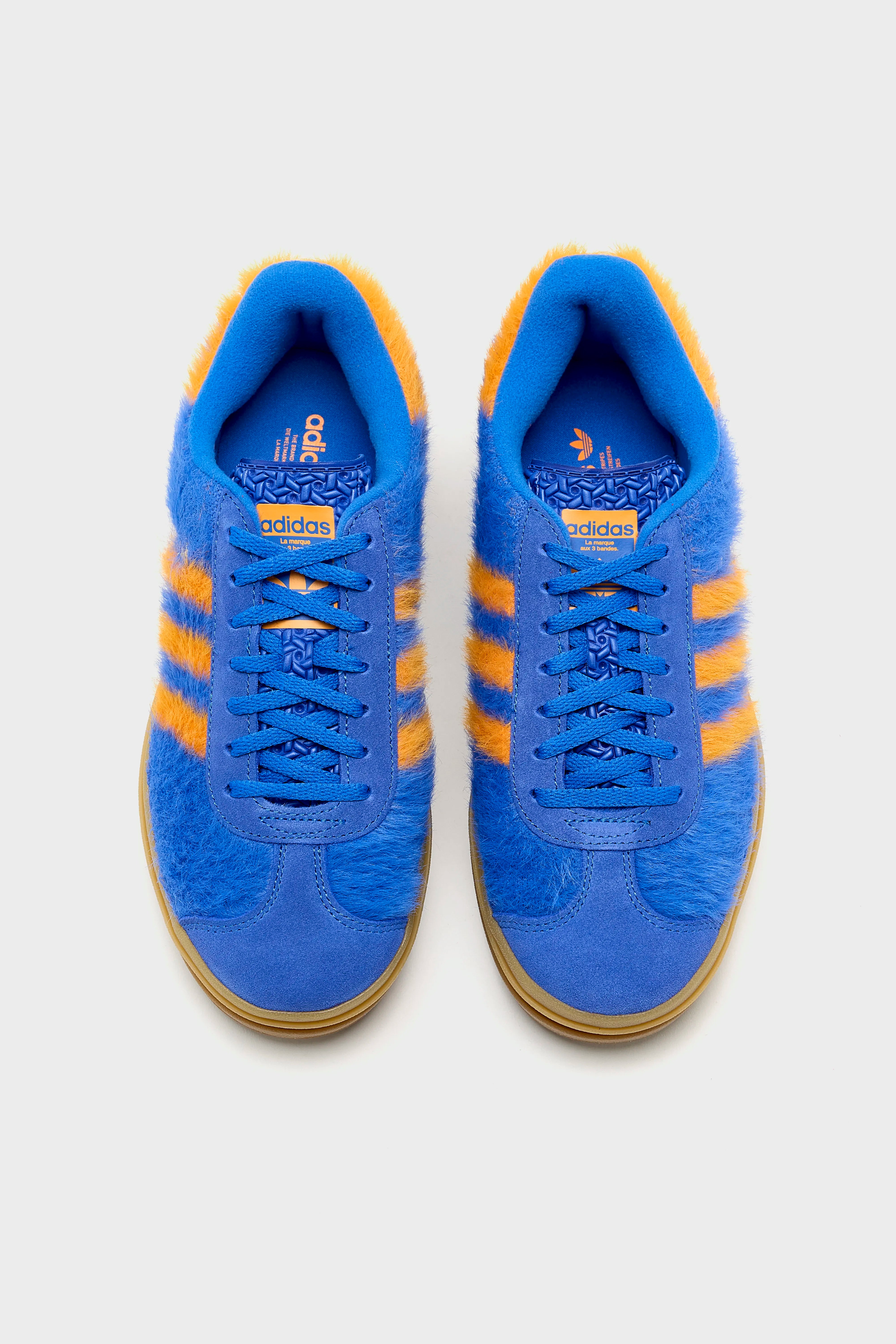 Gazelle Bold for Women  (252 / W / BLUE)