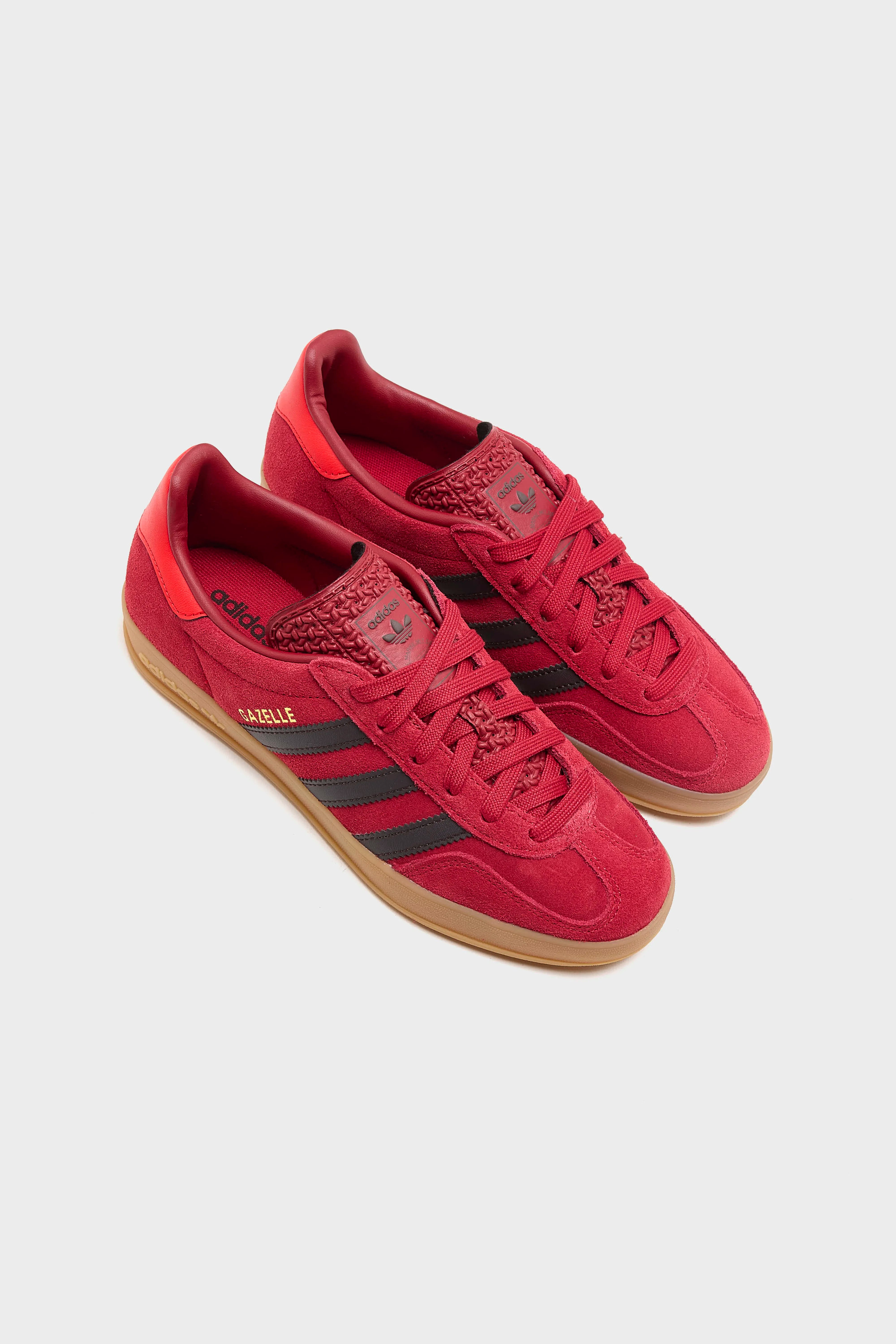 Gazelle Indoor pour juniors (261 / B / RED)