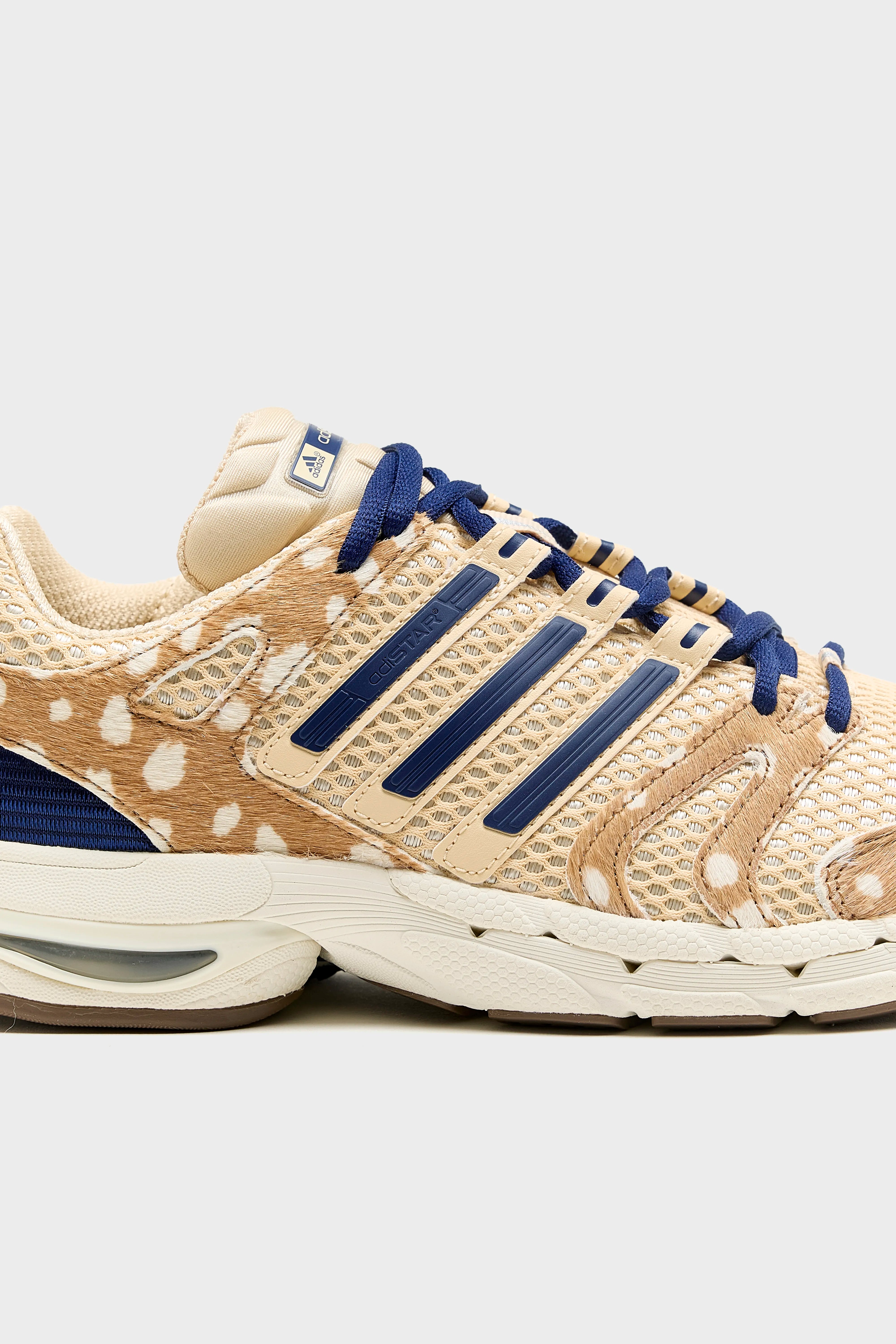 Adistar Control 5 voor Dames (262 / W / BROWN)