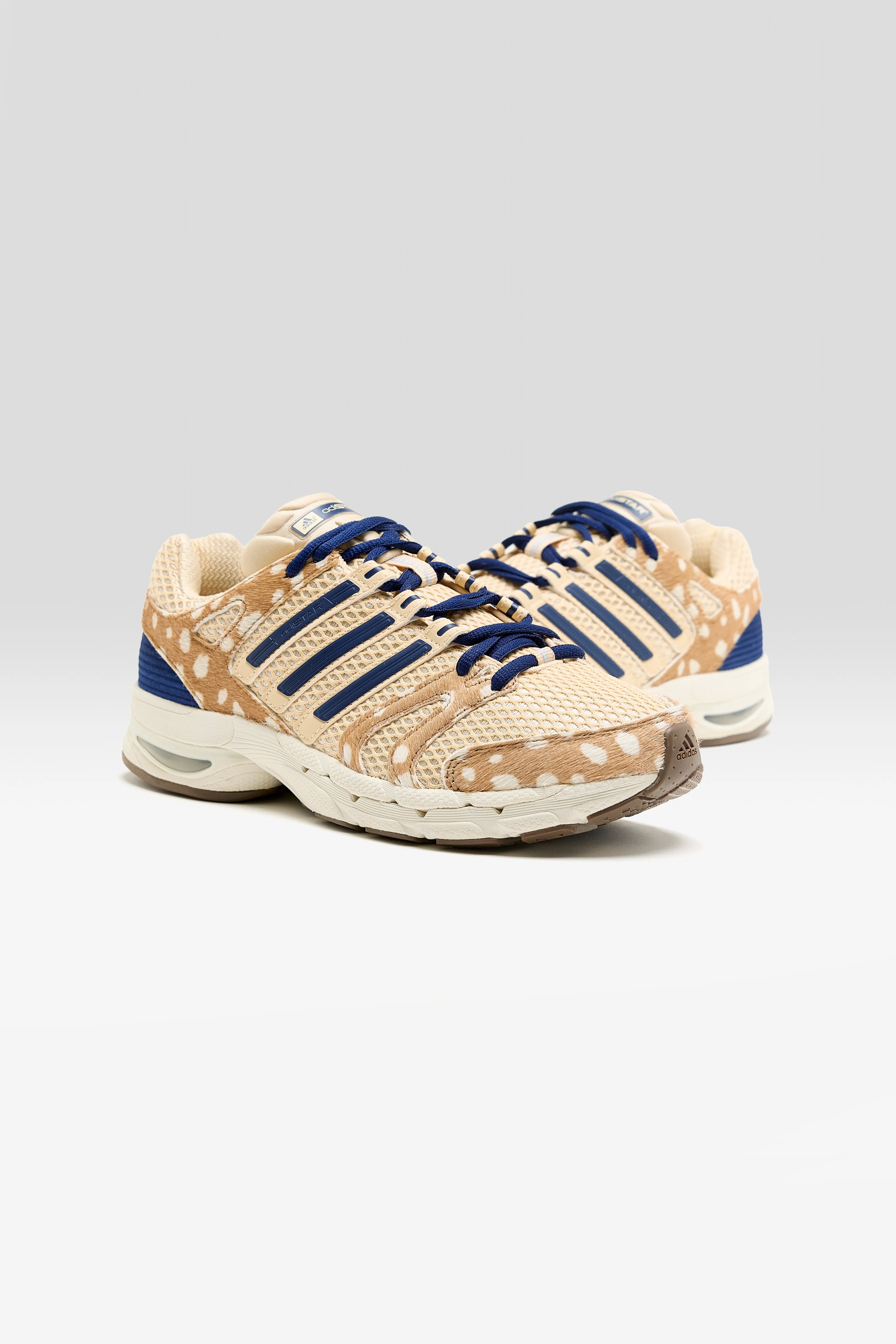 Adistar Control 5 voor Dames (262 / W / BROWN)