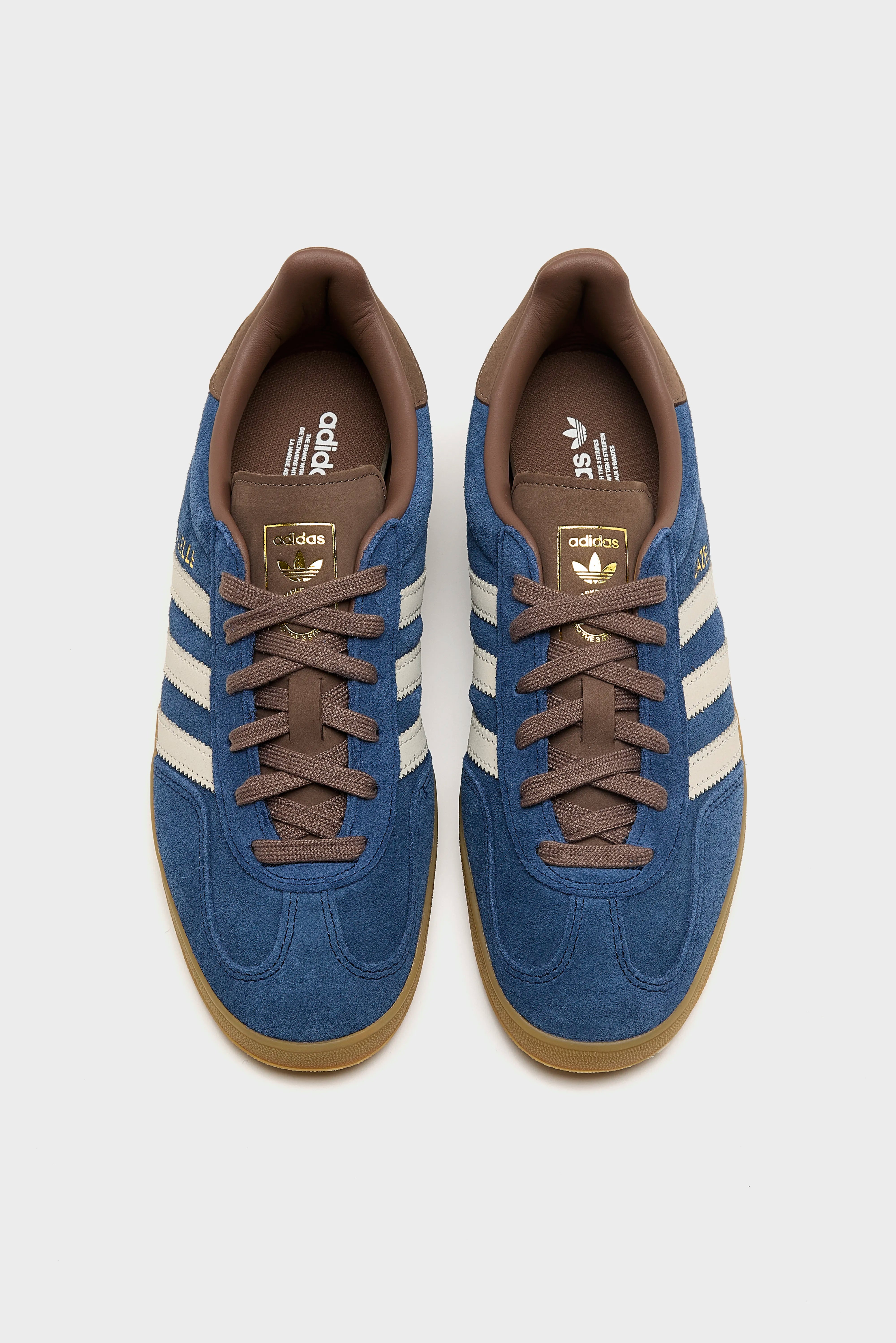 Gazelle Indoor voor Dames (262 / W / INDIGO)