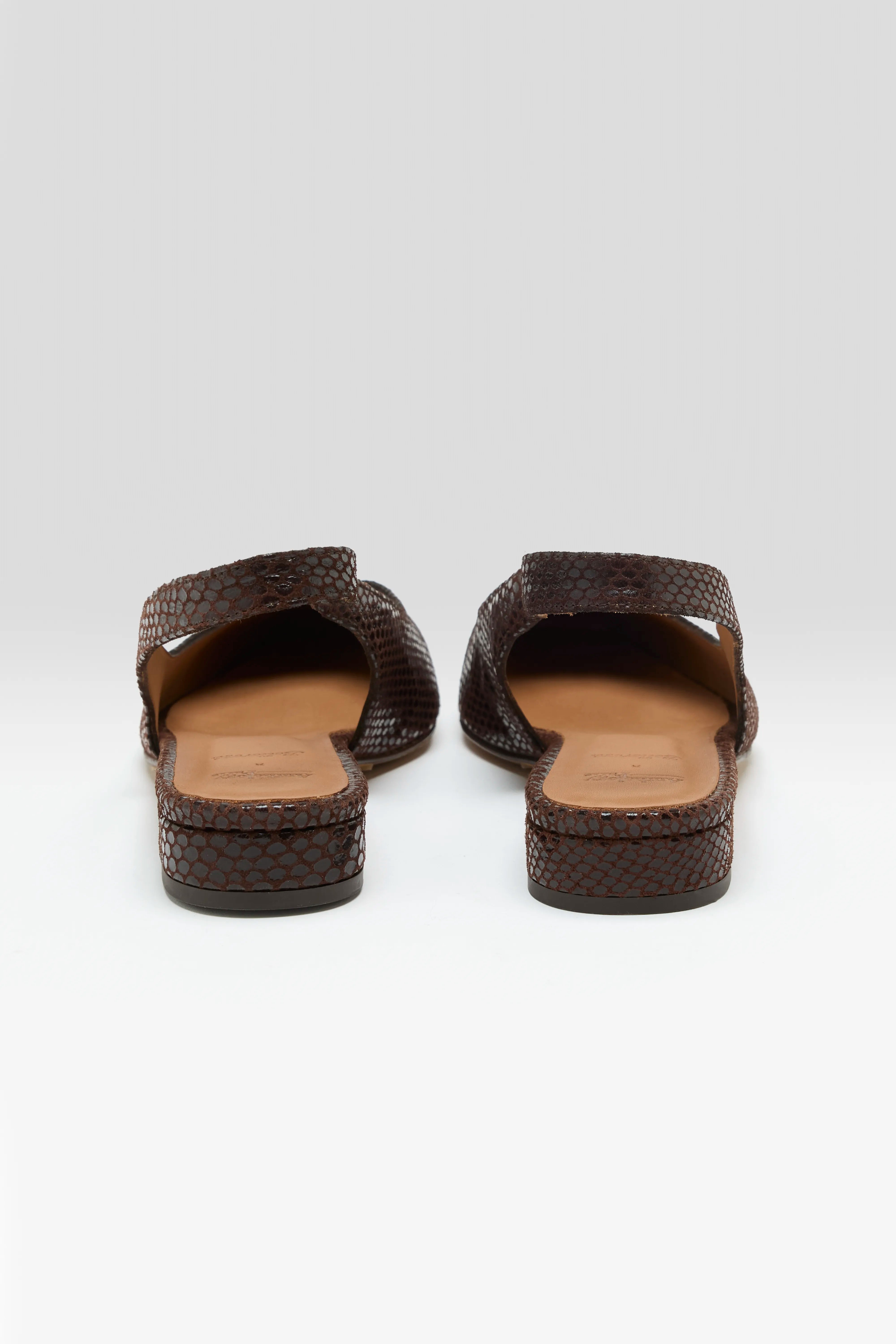 Maggie Ballerines (251 / W / MARRON)