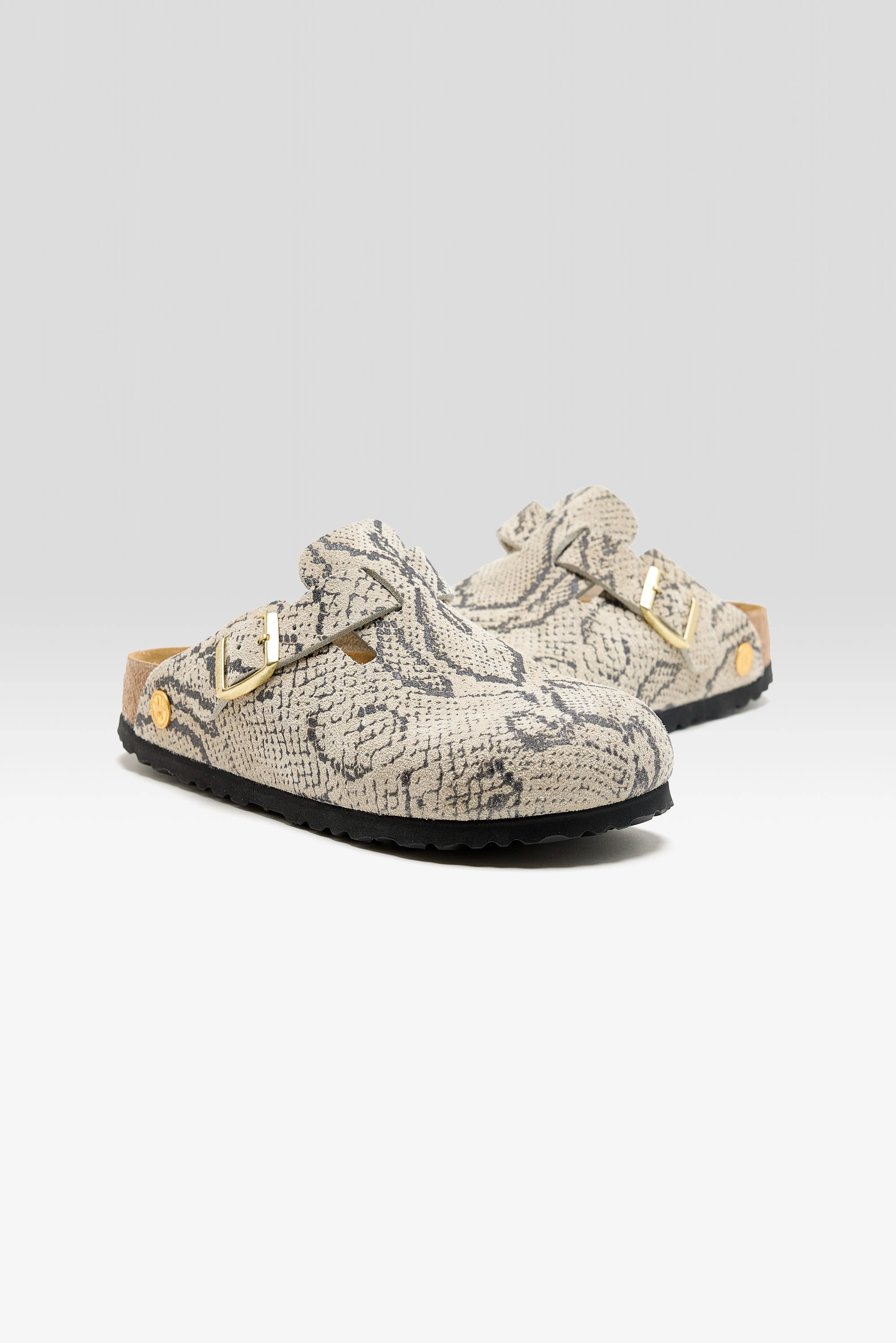 Boston Rivets Logo voor Dames (262 / W / OYSTER)
