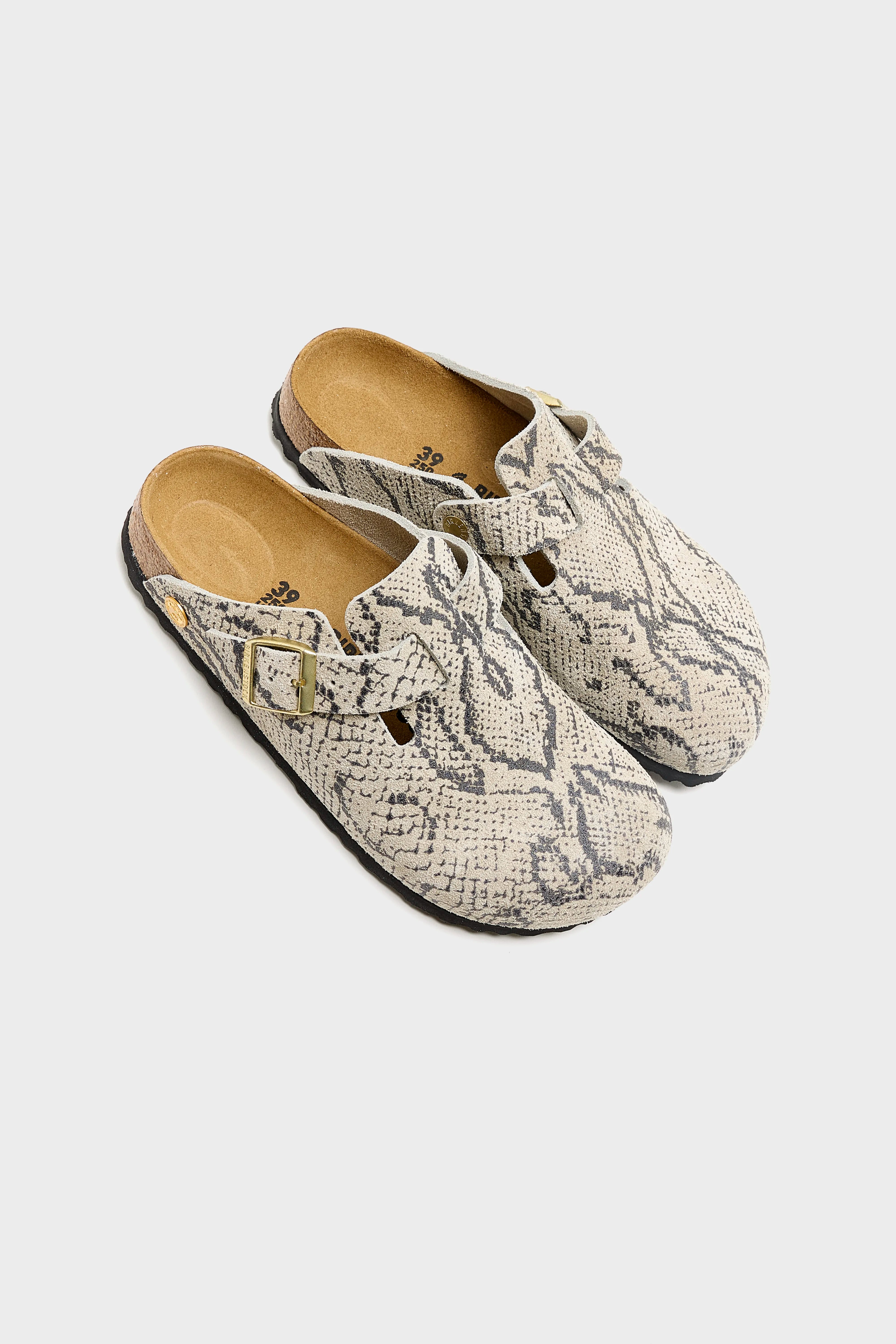 Boston Rivets Logo voor Dames (262 / W / OYSTER)