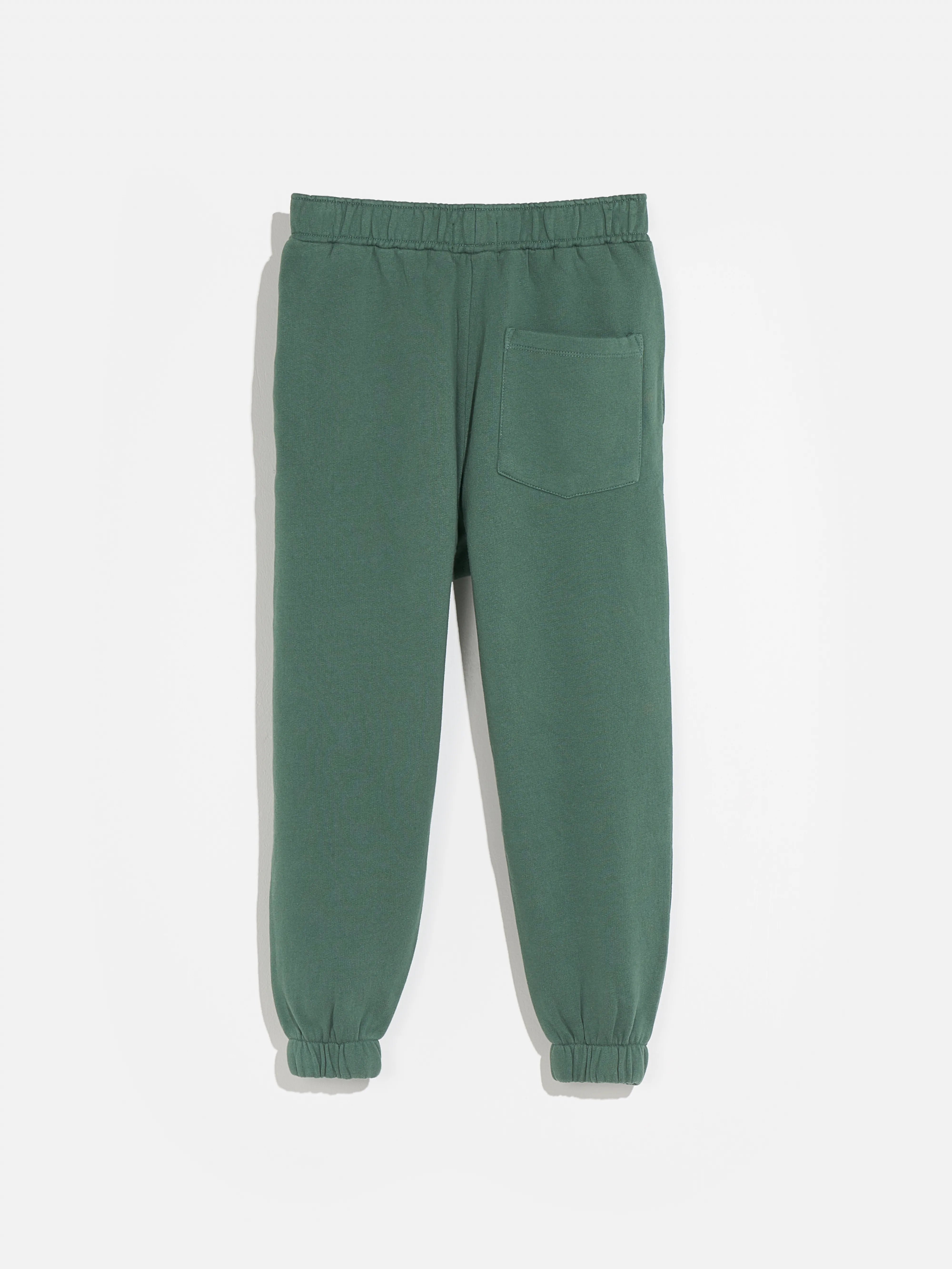 Pantalon Carlos (232 / B / CACTUS)