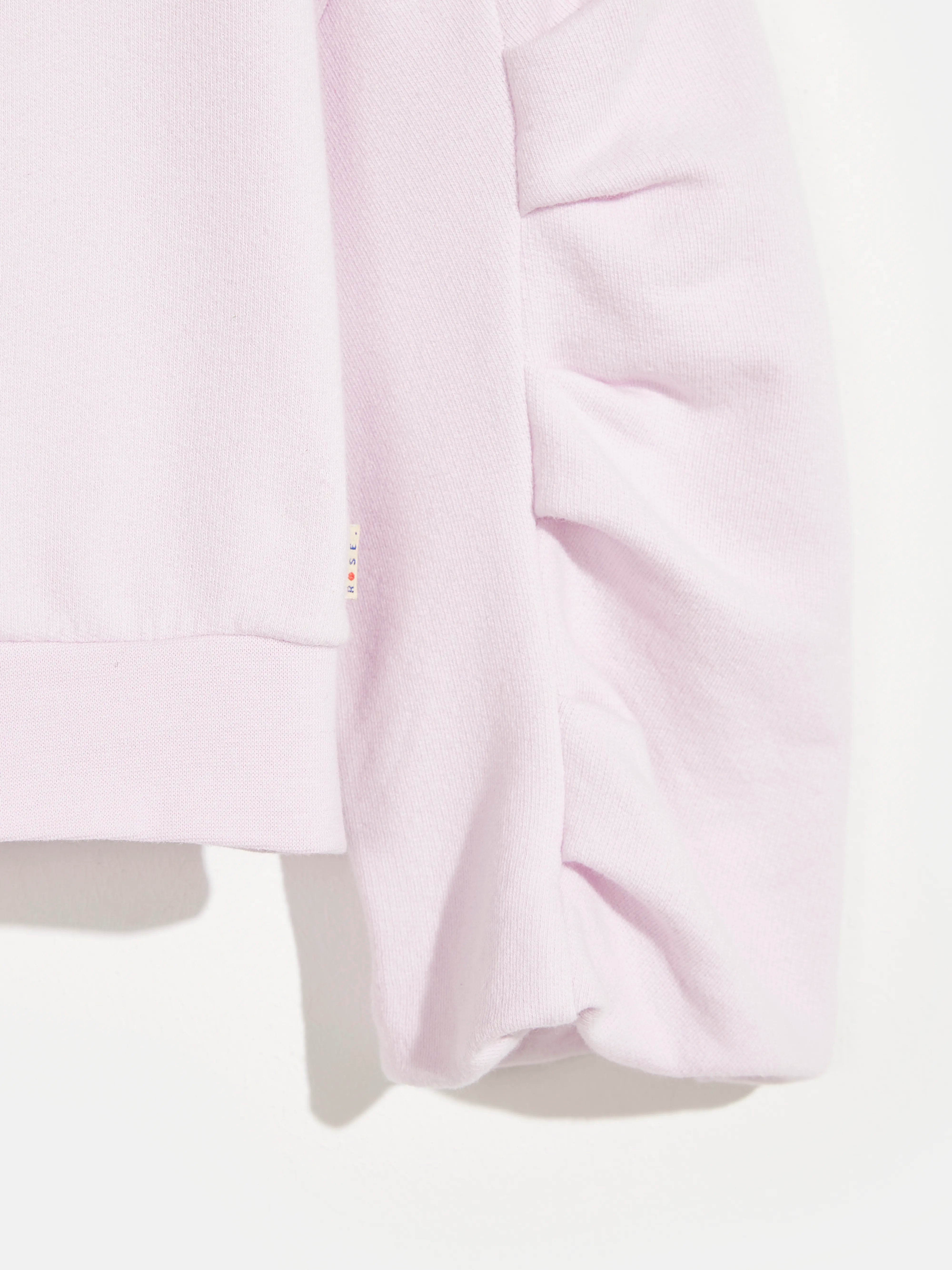 sweatshirt vissen (241 / G / ALBA)