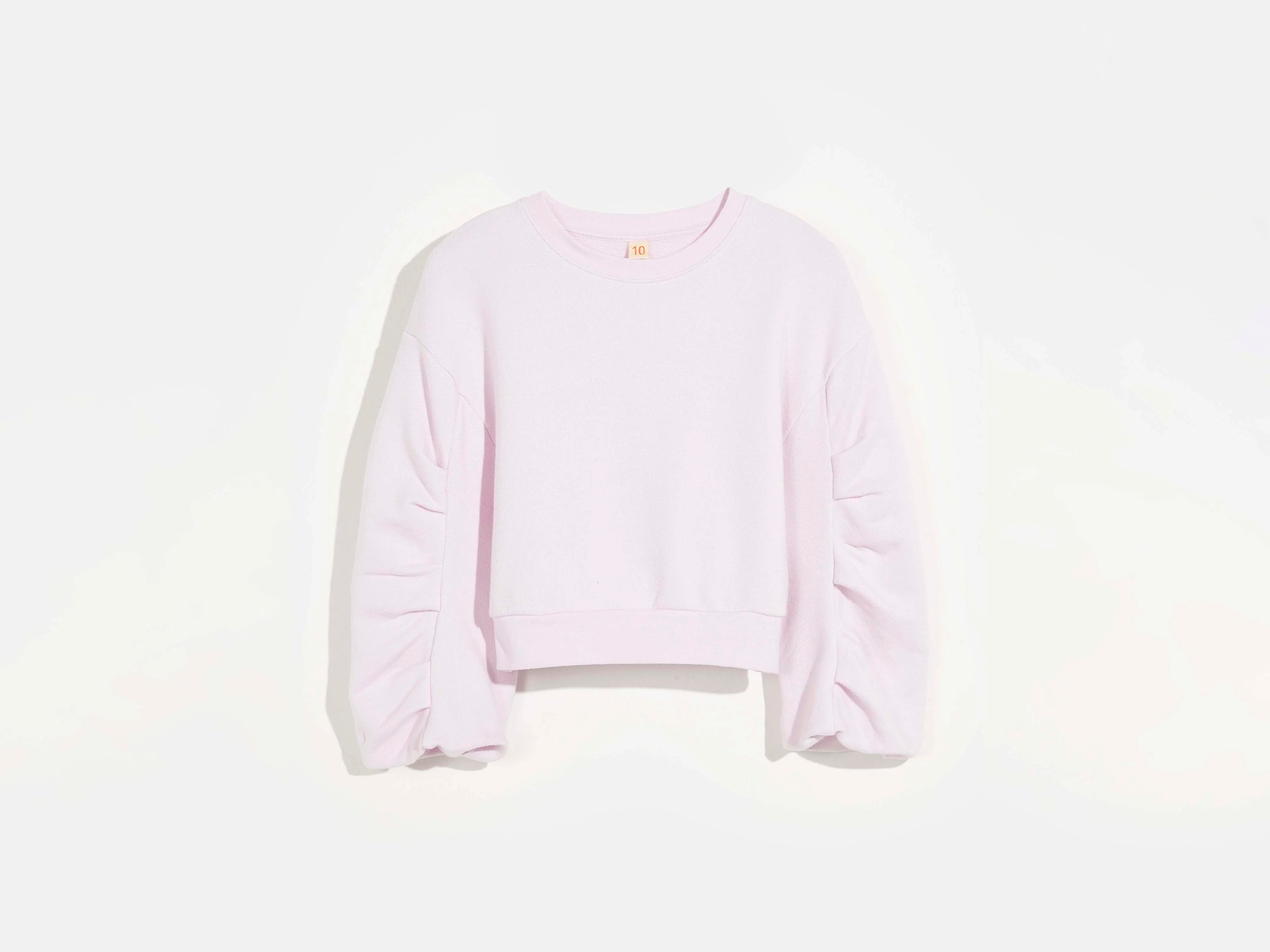 sweatshirt vissen (241 / G / ALBA)