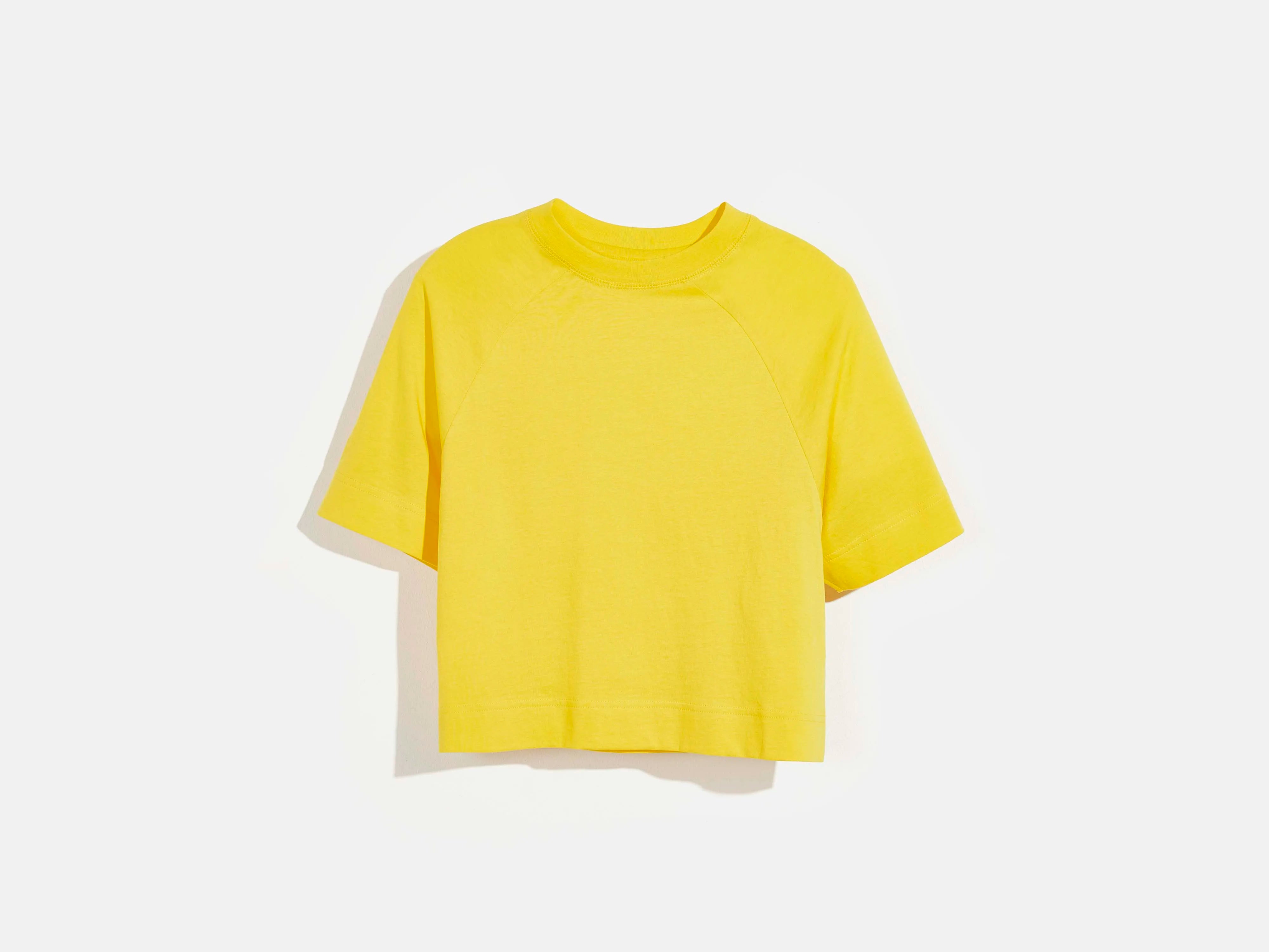 caves t-shirt (241 / G / BOUTON D'OR)