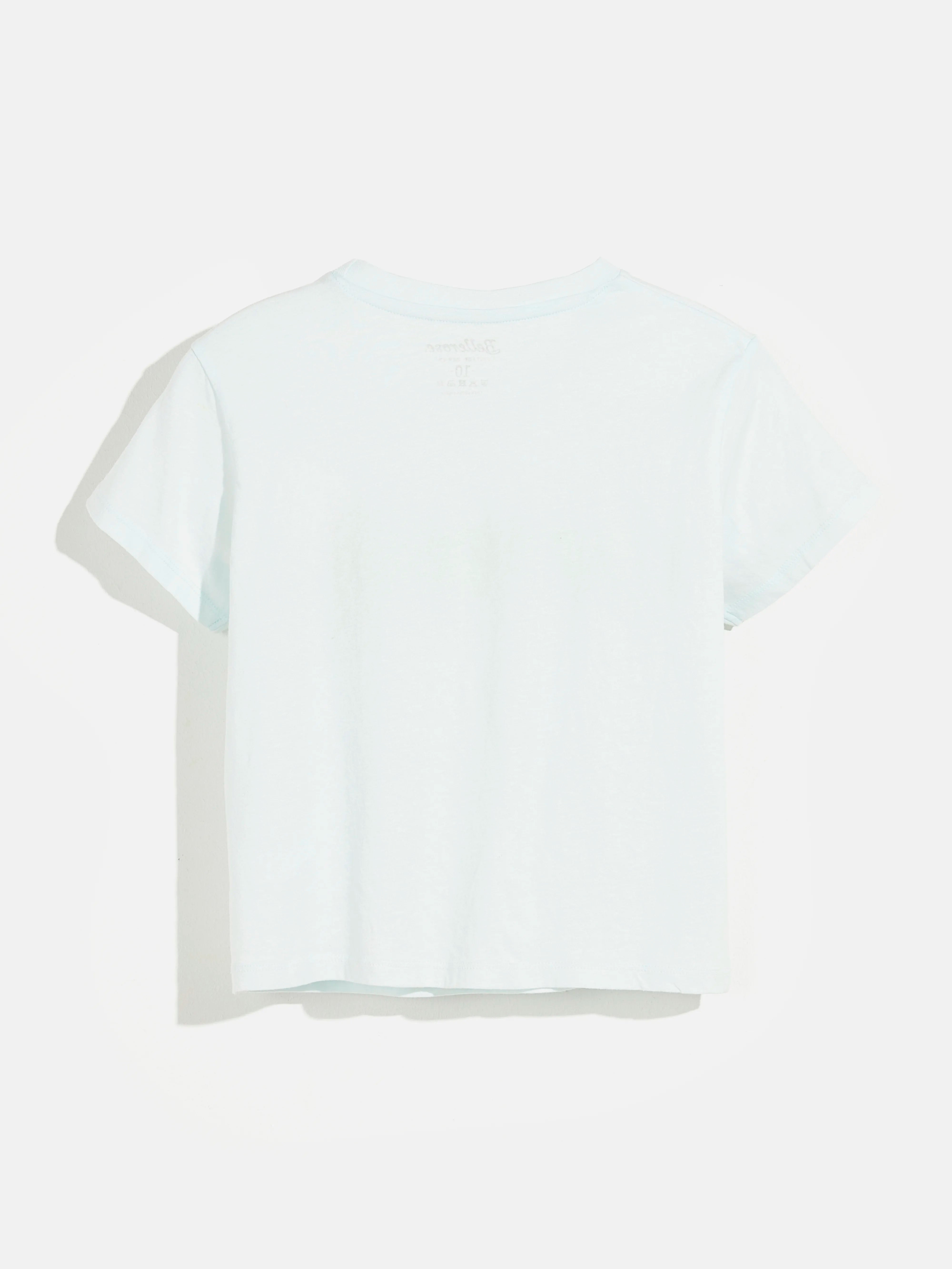 argi t-shirt (241 / G / ICE CUBE)