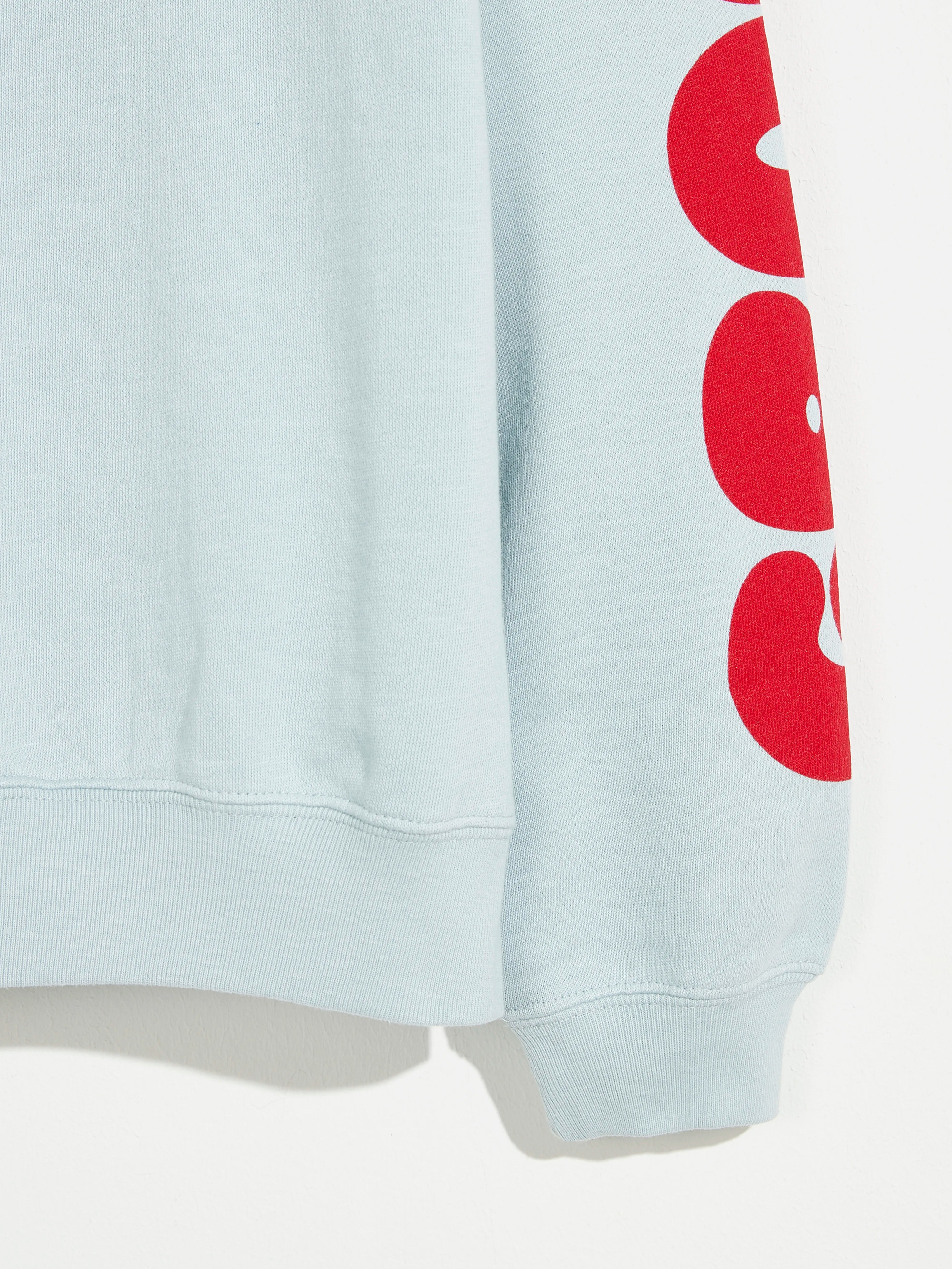 Fagoso Sweatshirt Voor Jongens | Bellerose