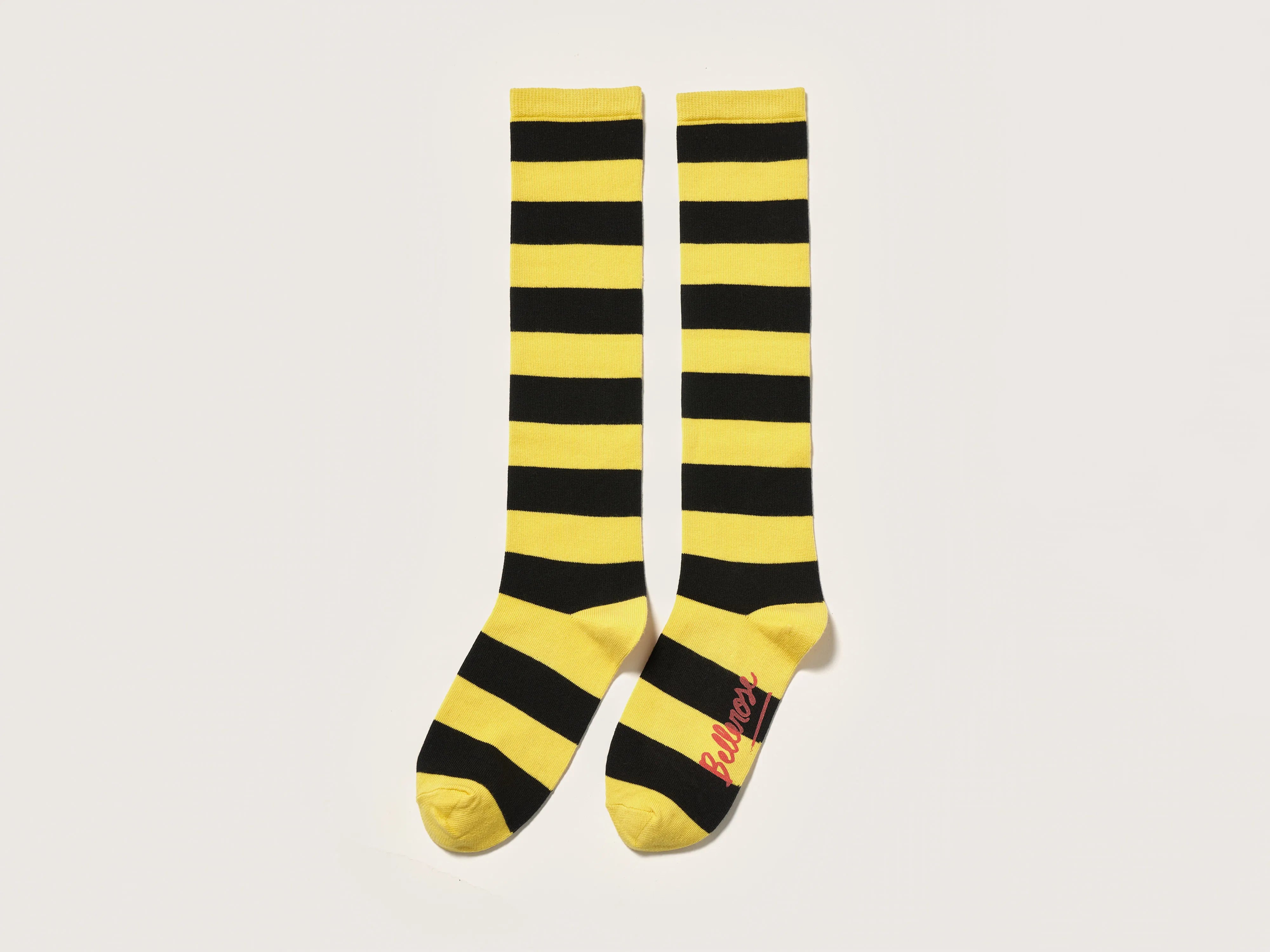 Bichir knee-high socks (242 / G / STRIPE A)