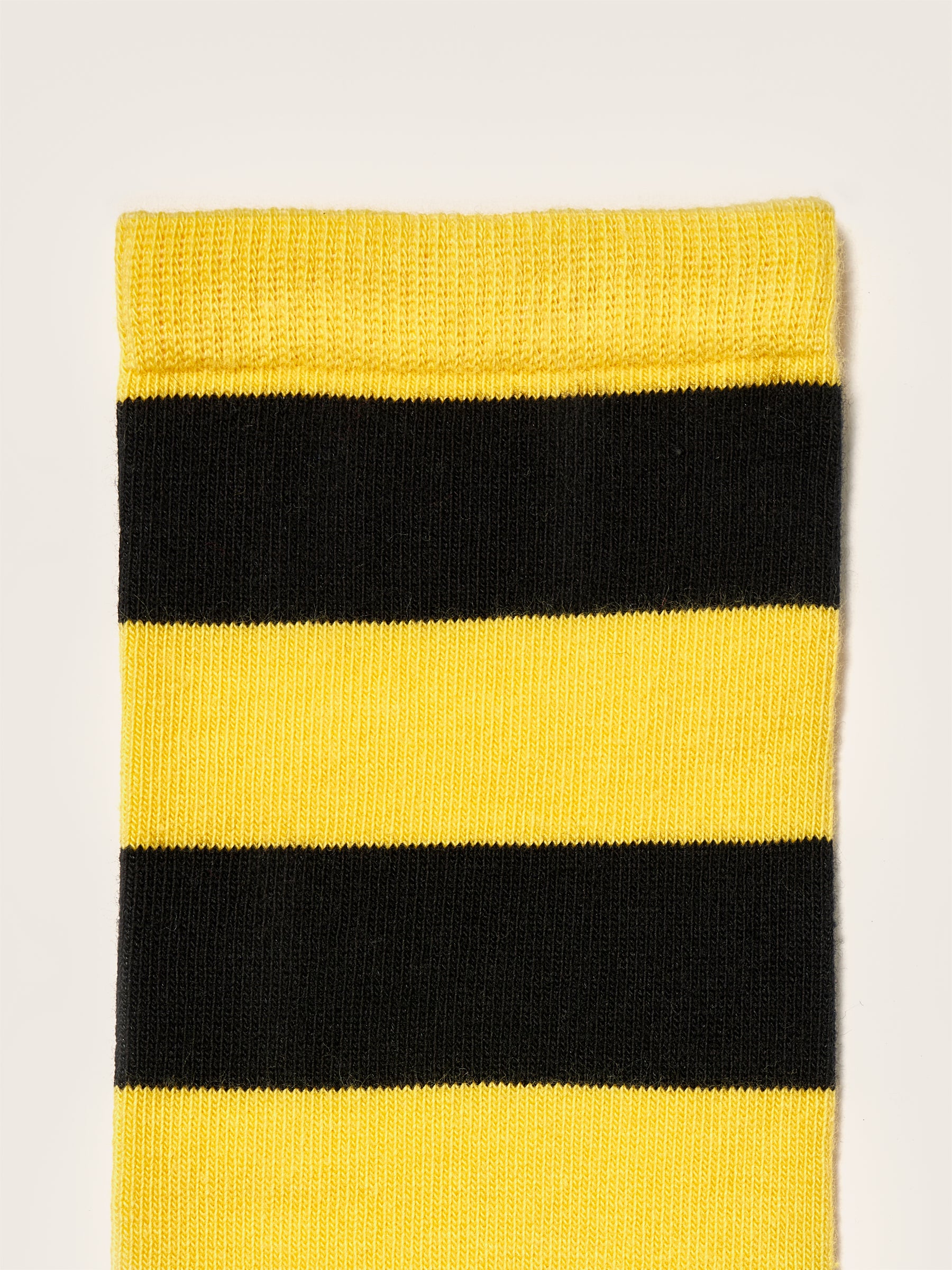 Bichir knee-high socks (242 / G / STRIPE A)