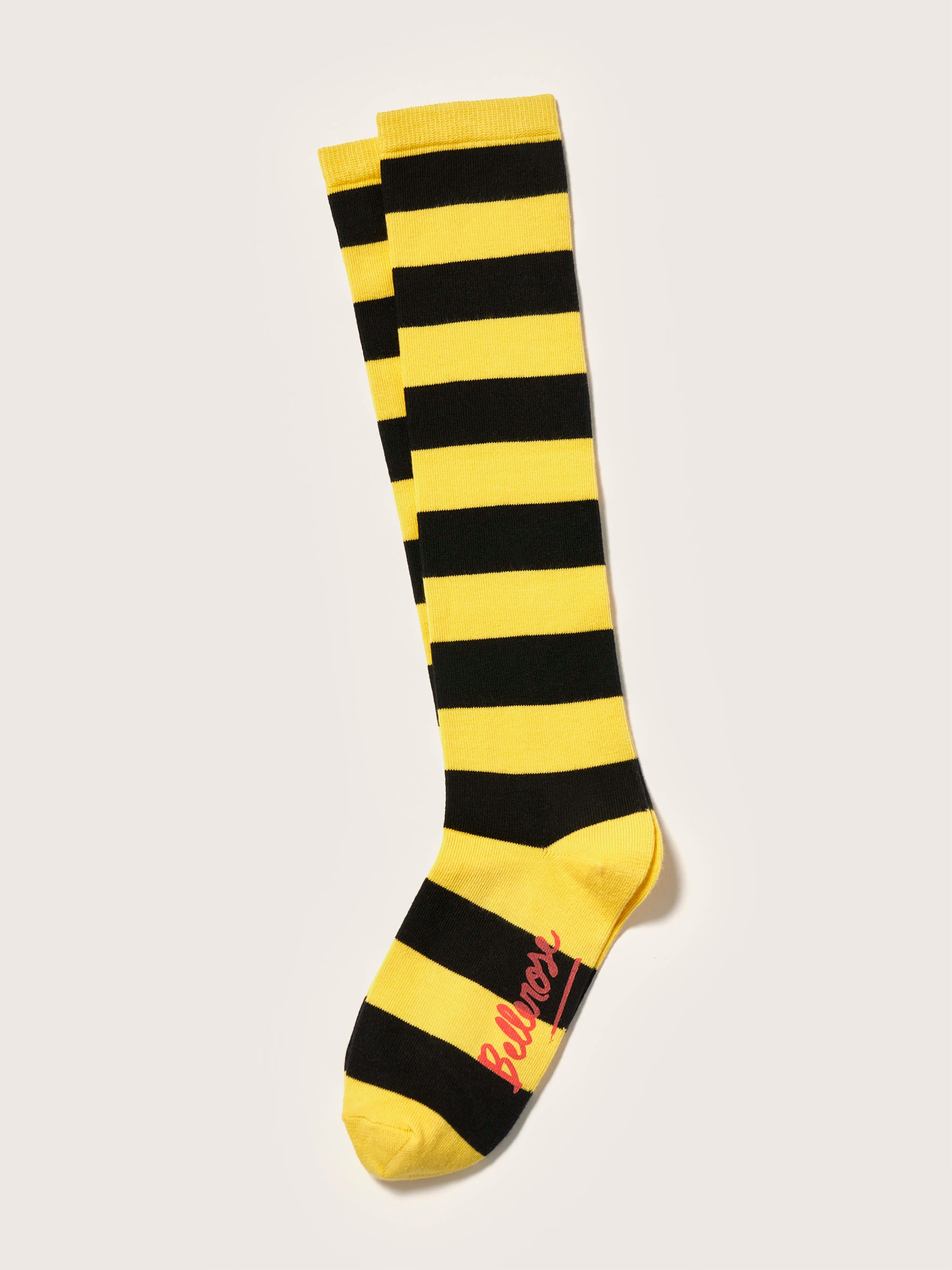 Bichir knee-high socks (242 / G / STRIPE A)