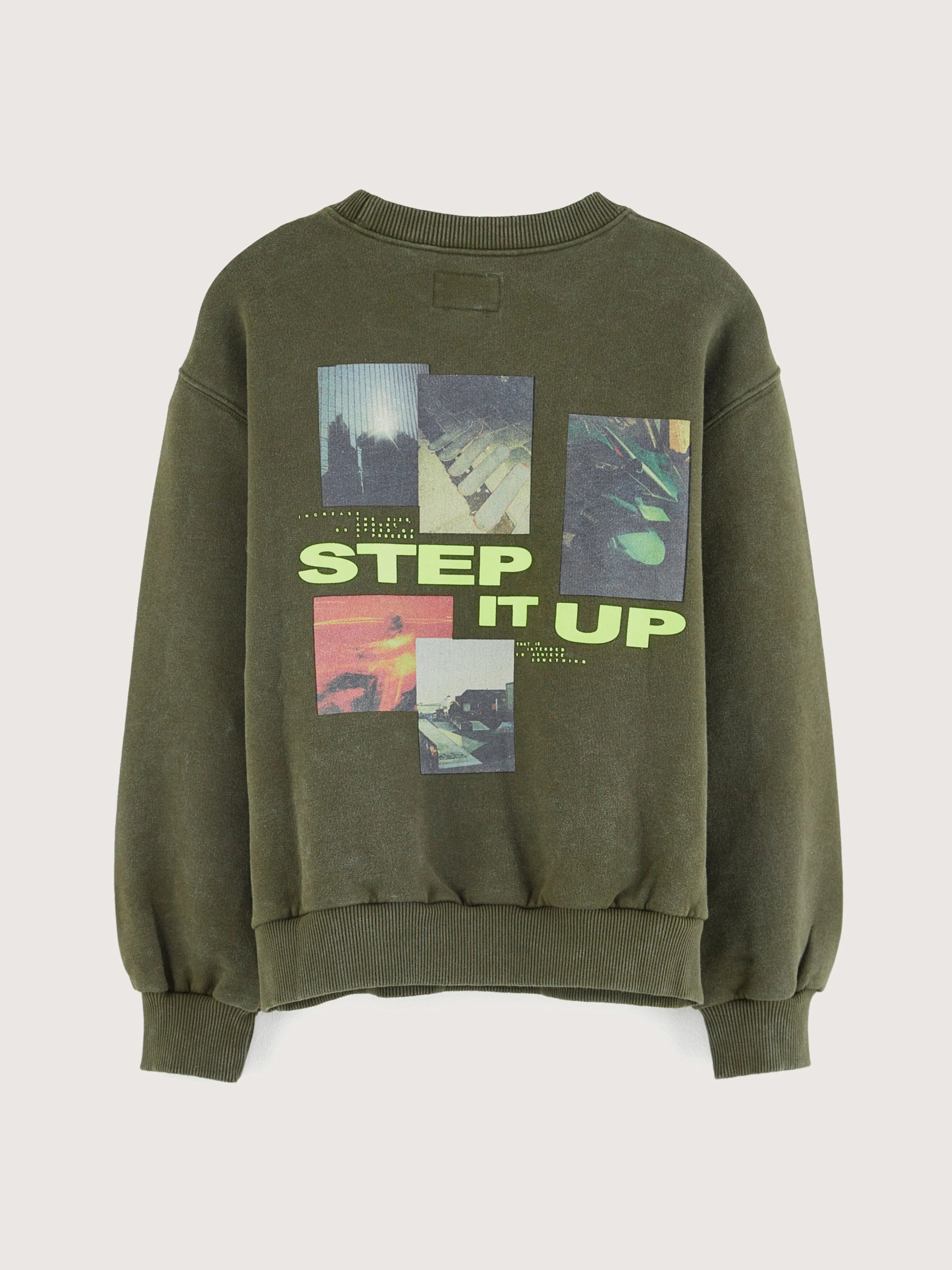 Chami crew-neck sweatshirt   (242 / B / MOSS)