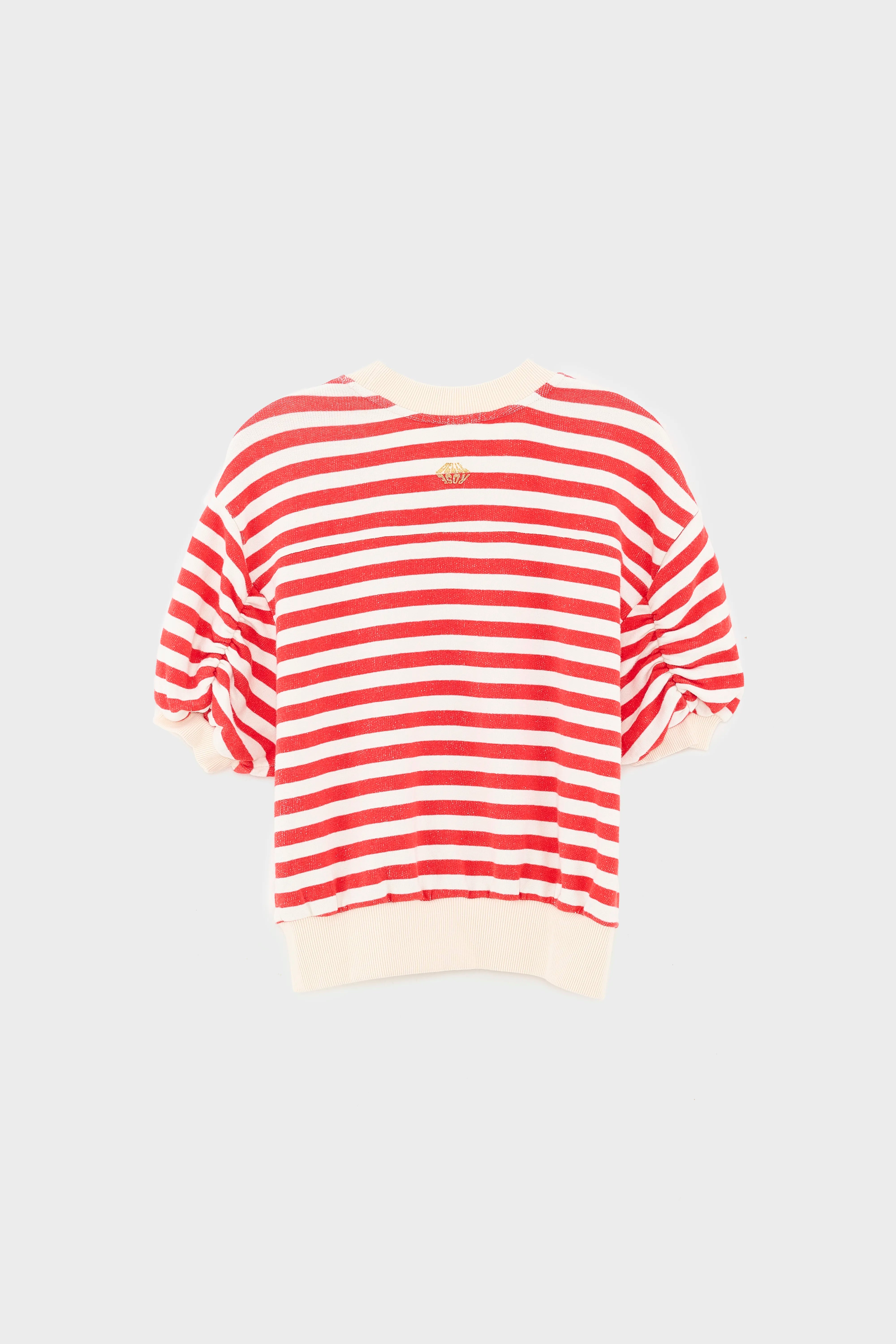 Agov crewneck sweatshirt (251 / G / STRIPE A)