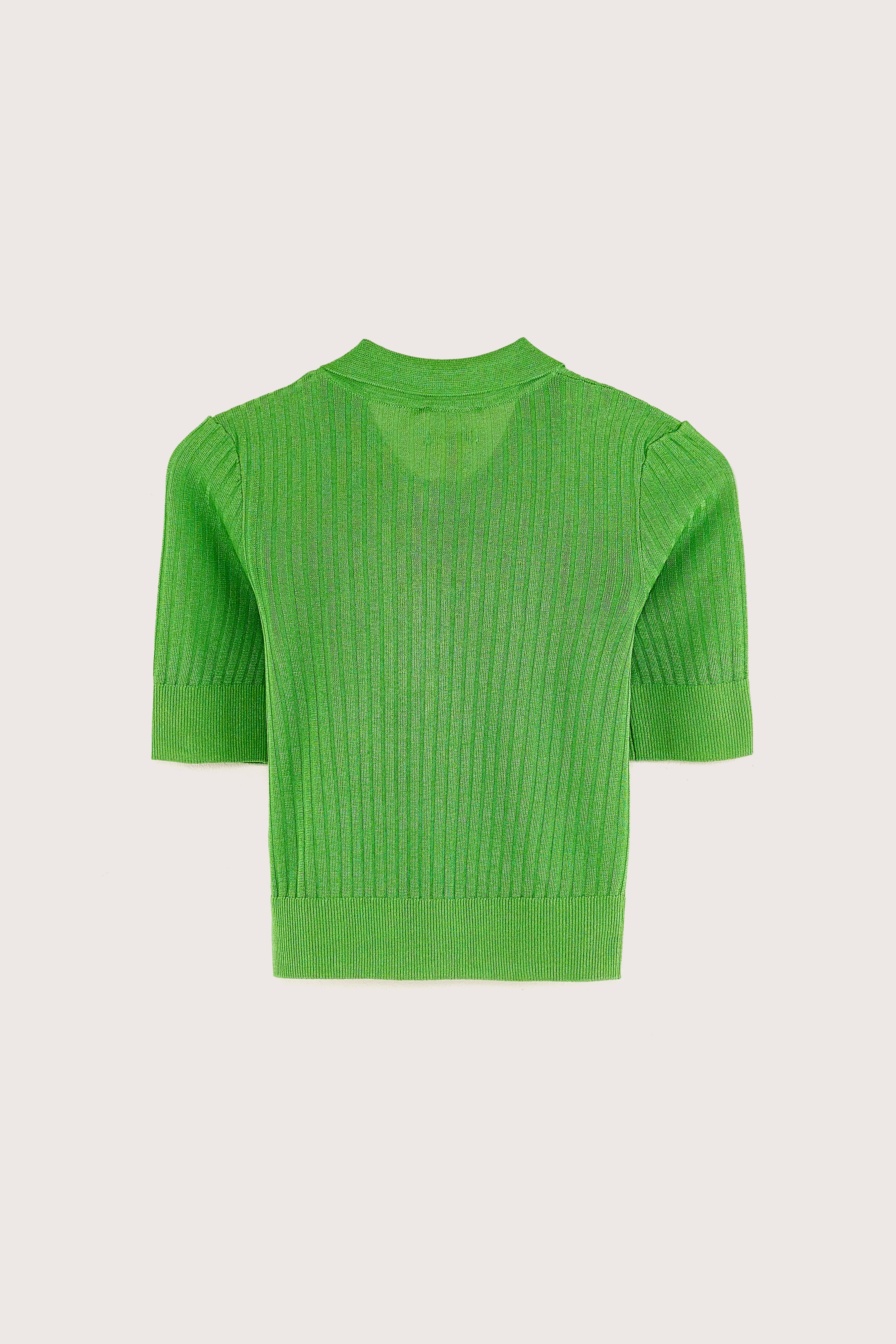 Polo en maille Alheur (251 / G / CLOVER)