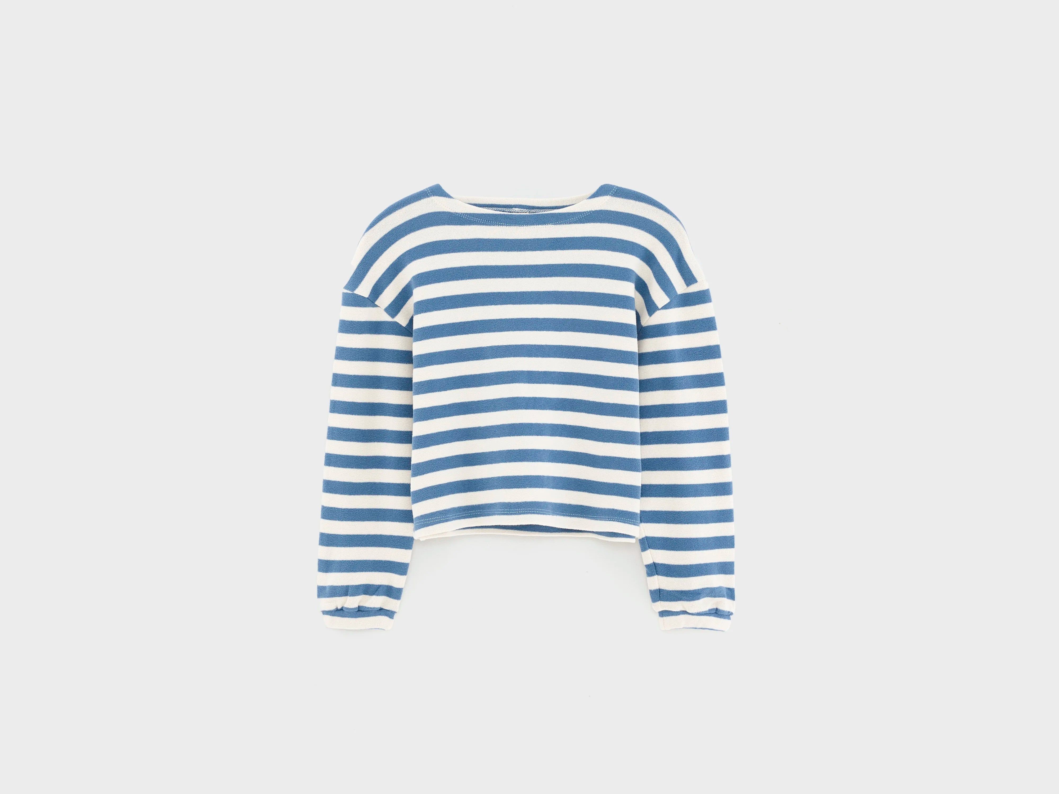 Fasov cropped t-shirt (252 / G / STRIPE A)