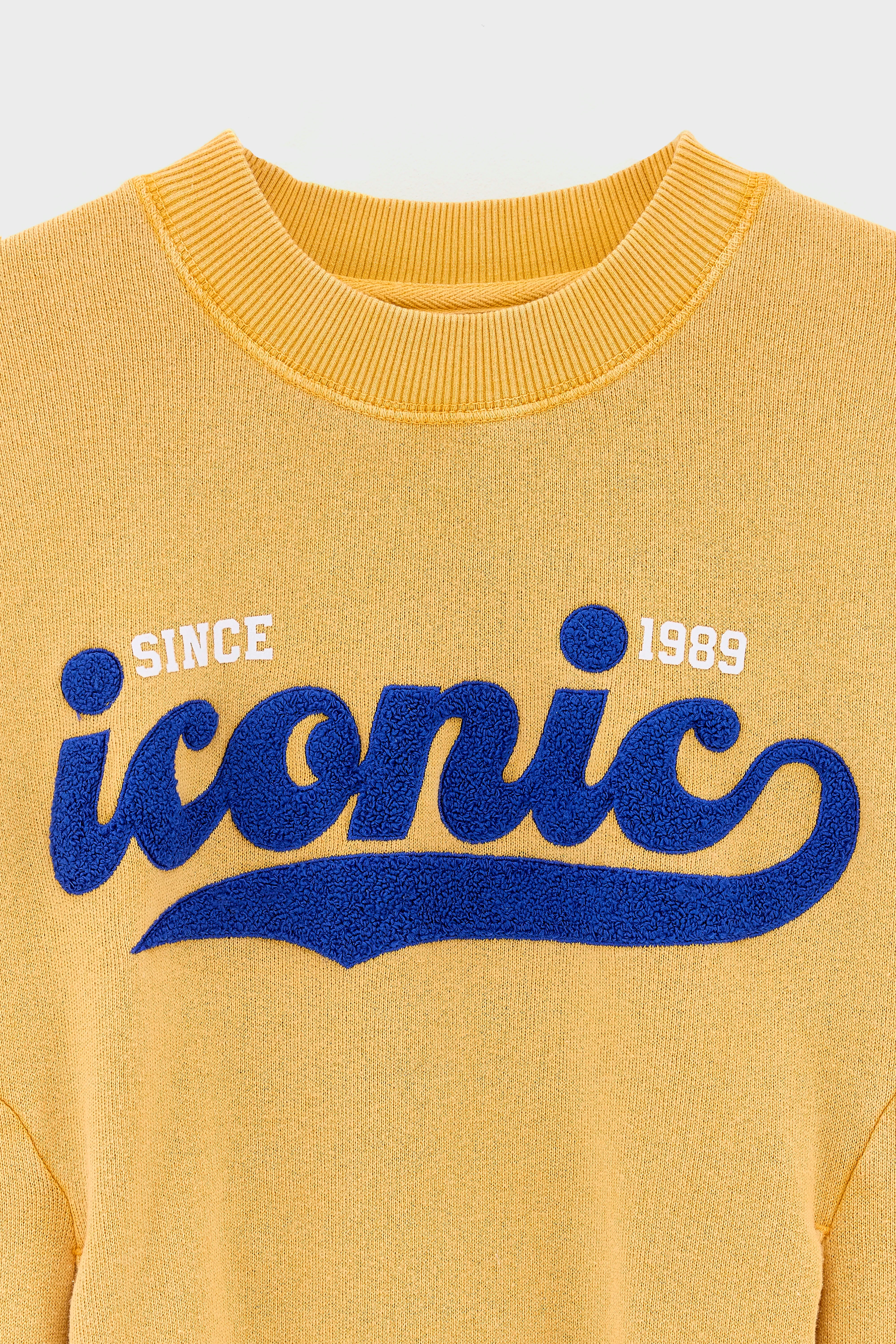 Fadopo relaxte sweatshirt (261 / G / GIRASOLE)