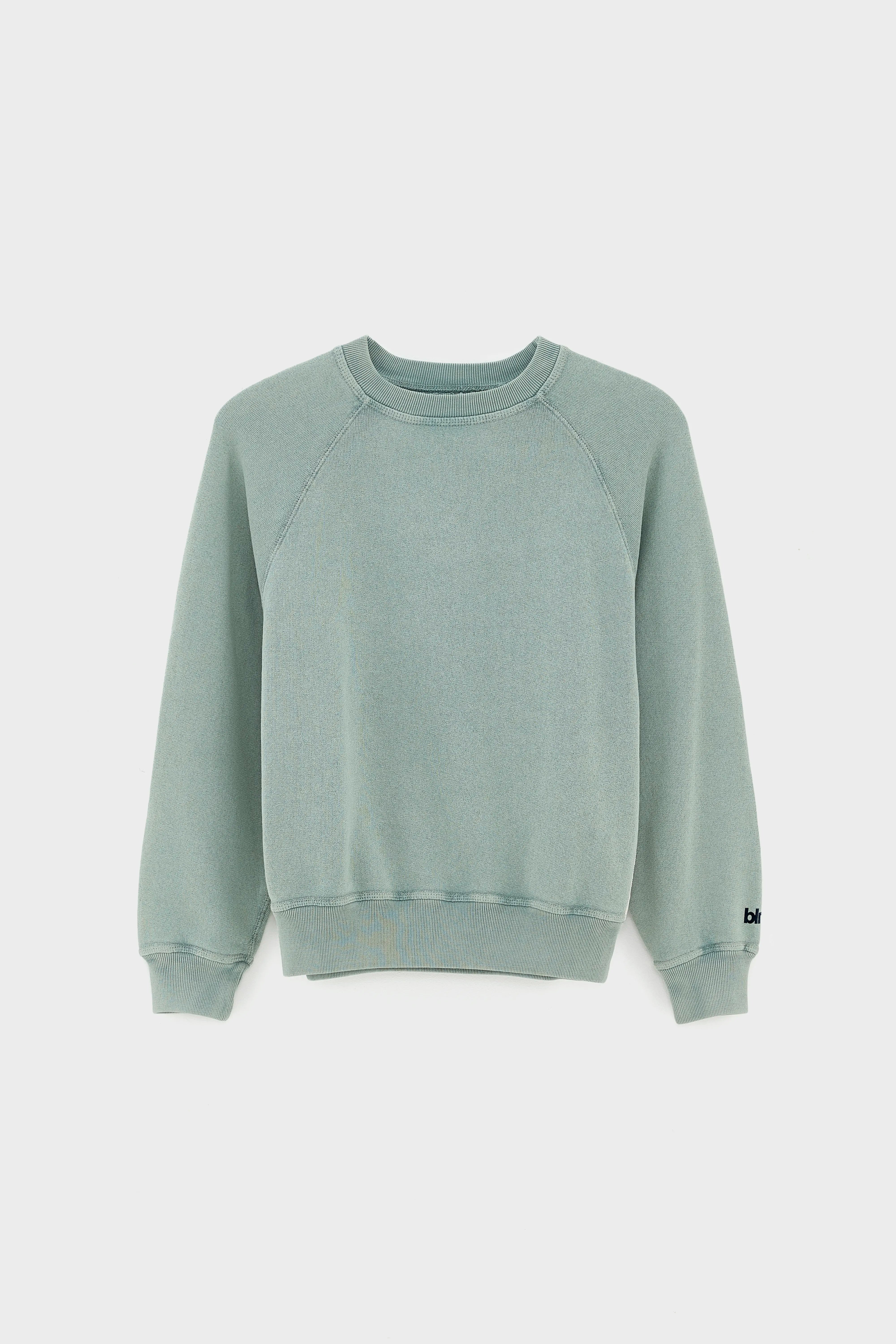 Fagolo sweatshirt met ronde hals (261 / B / LIMESTONE)