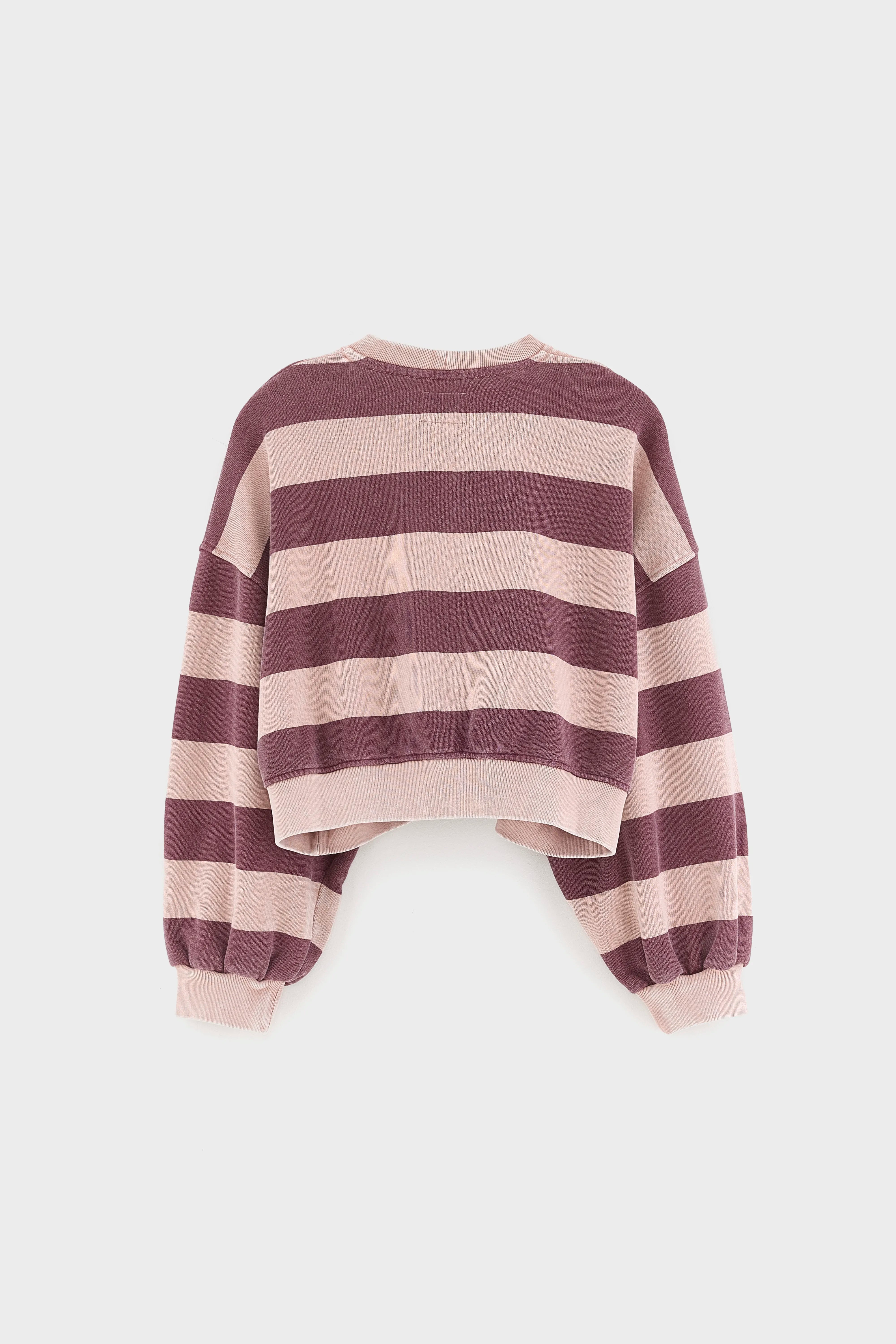 Fenya gestreept sweatshirt (262 / G / STRIPE C)