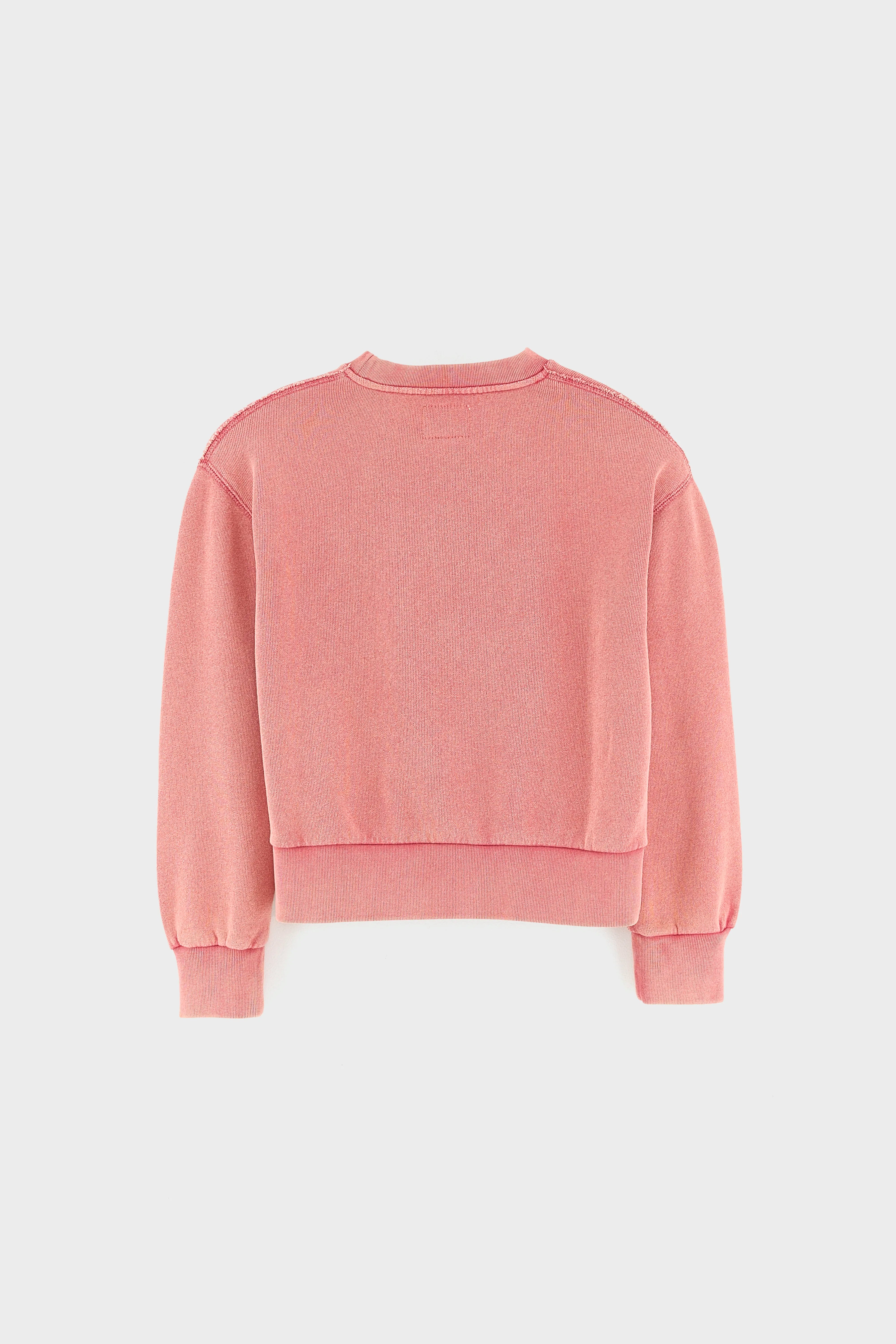 Fanzi sweatshirt met ronde hals (262 / G / CRANBERRY)