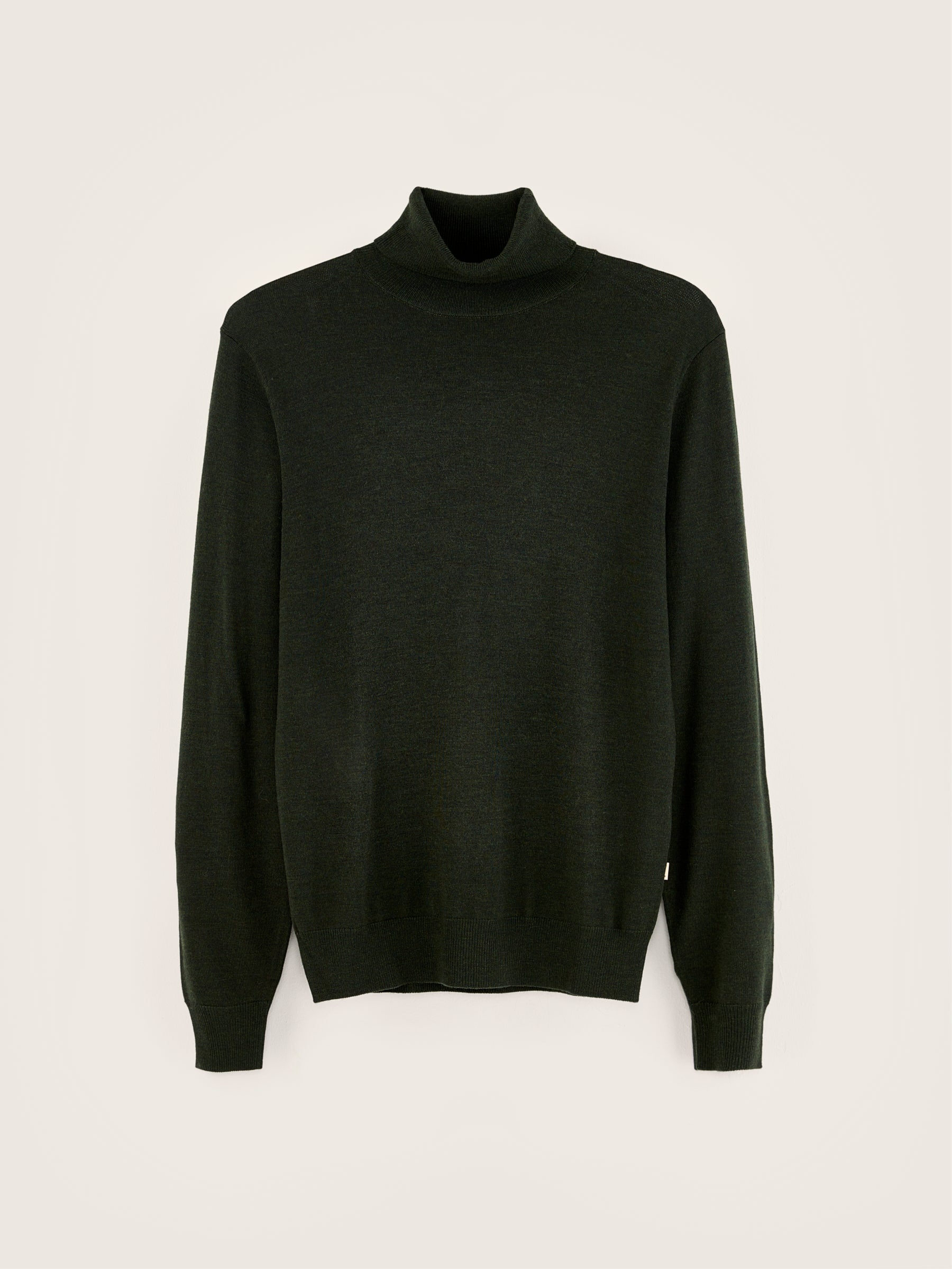 Dilor turtleneck sweater (242 / M / FOREST)