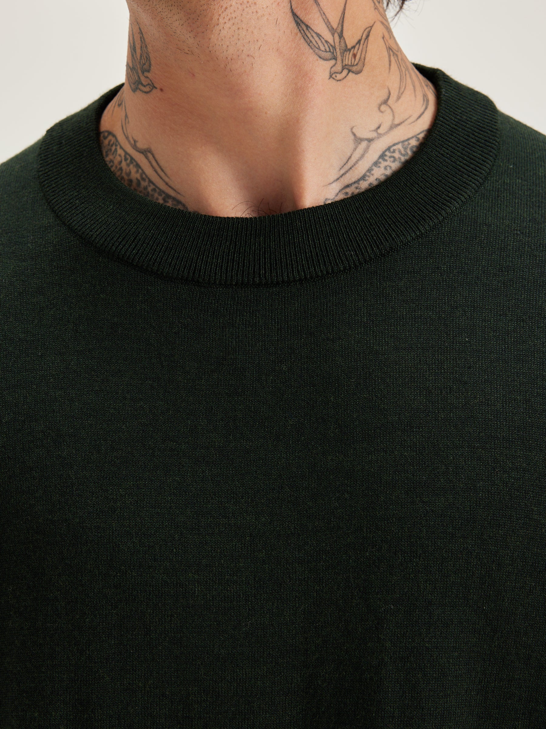 Dilliv crew-neck sweater (242 / M / FOREST)