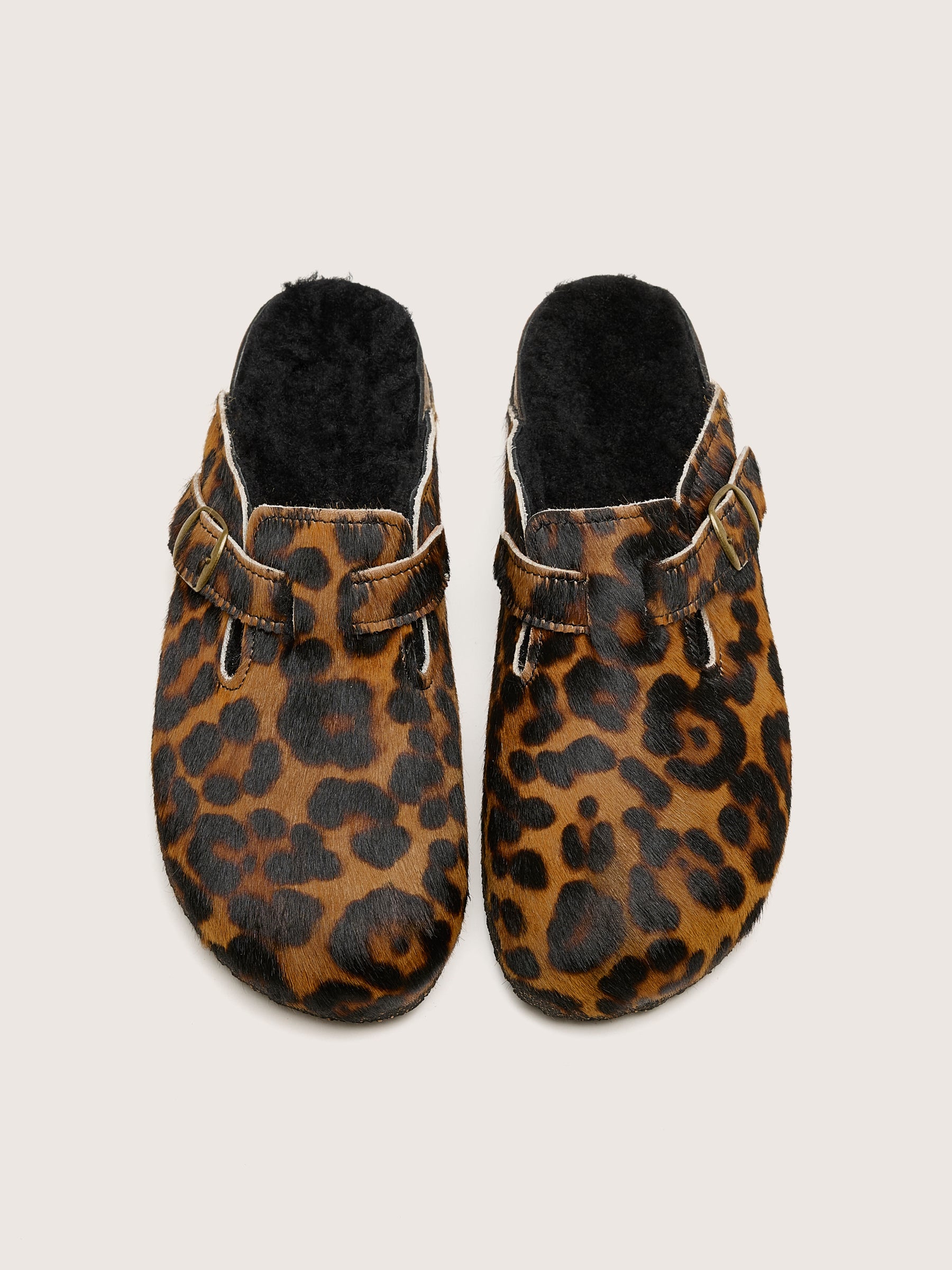 Black Leopard Clogs (242 / W / BROWN)