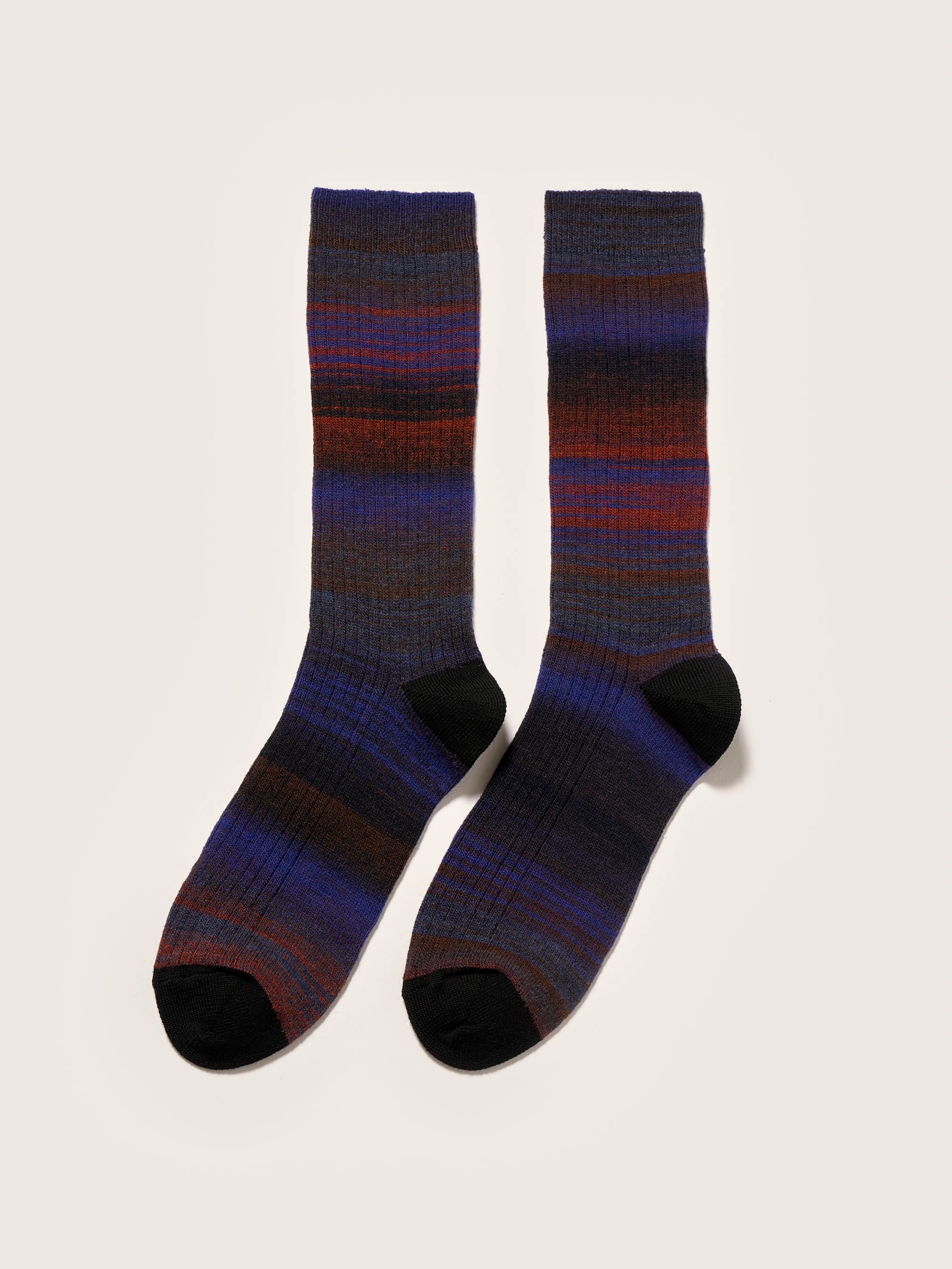 Baque rib-knit socks (242 / W / COMBO A)