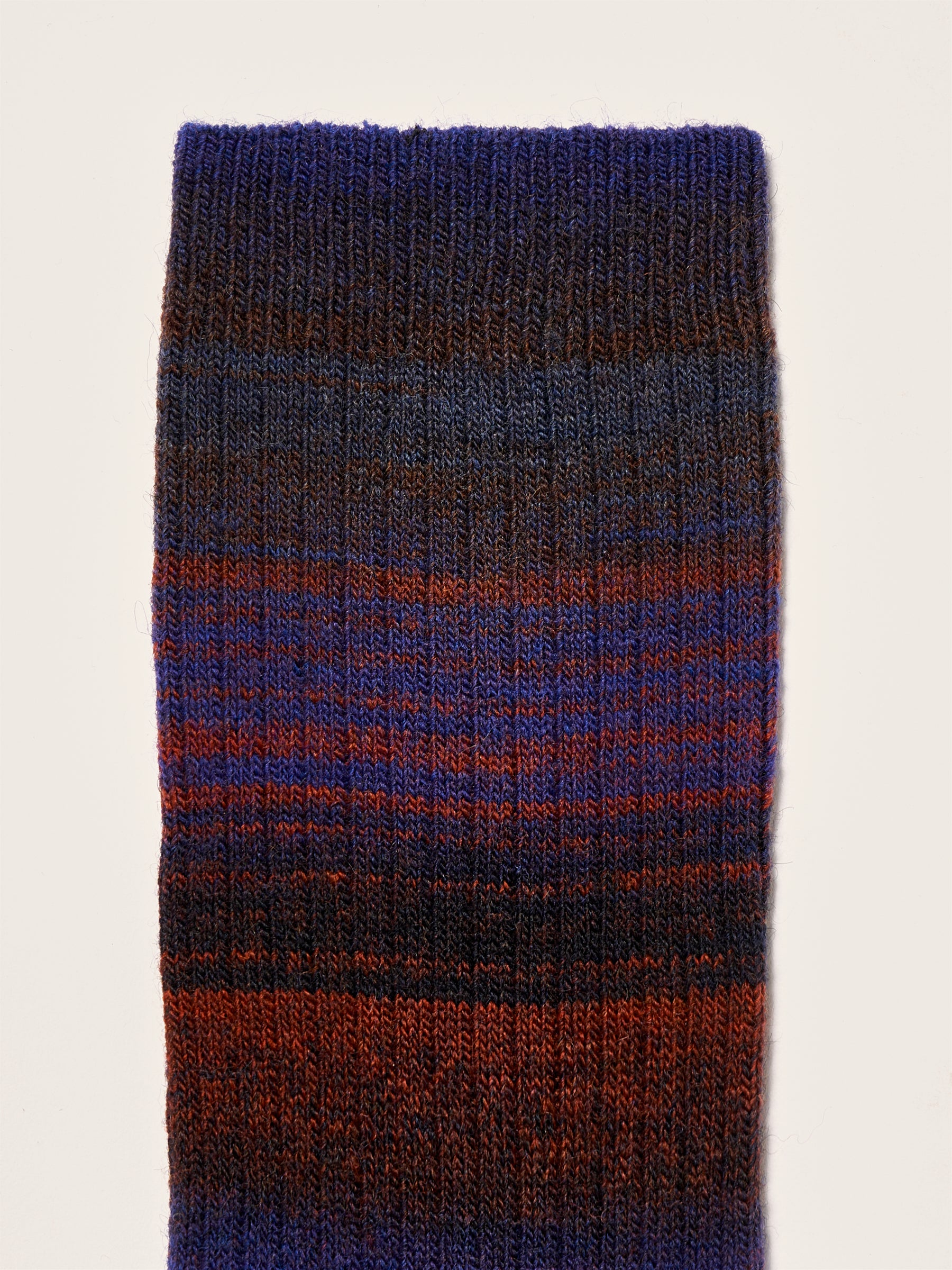 Baque rib-knit socks (242 / W / COMBO A)