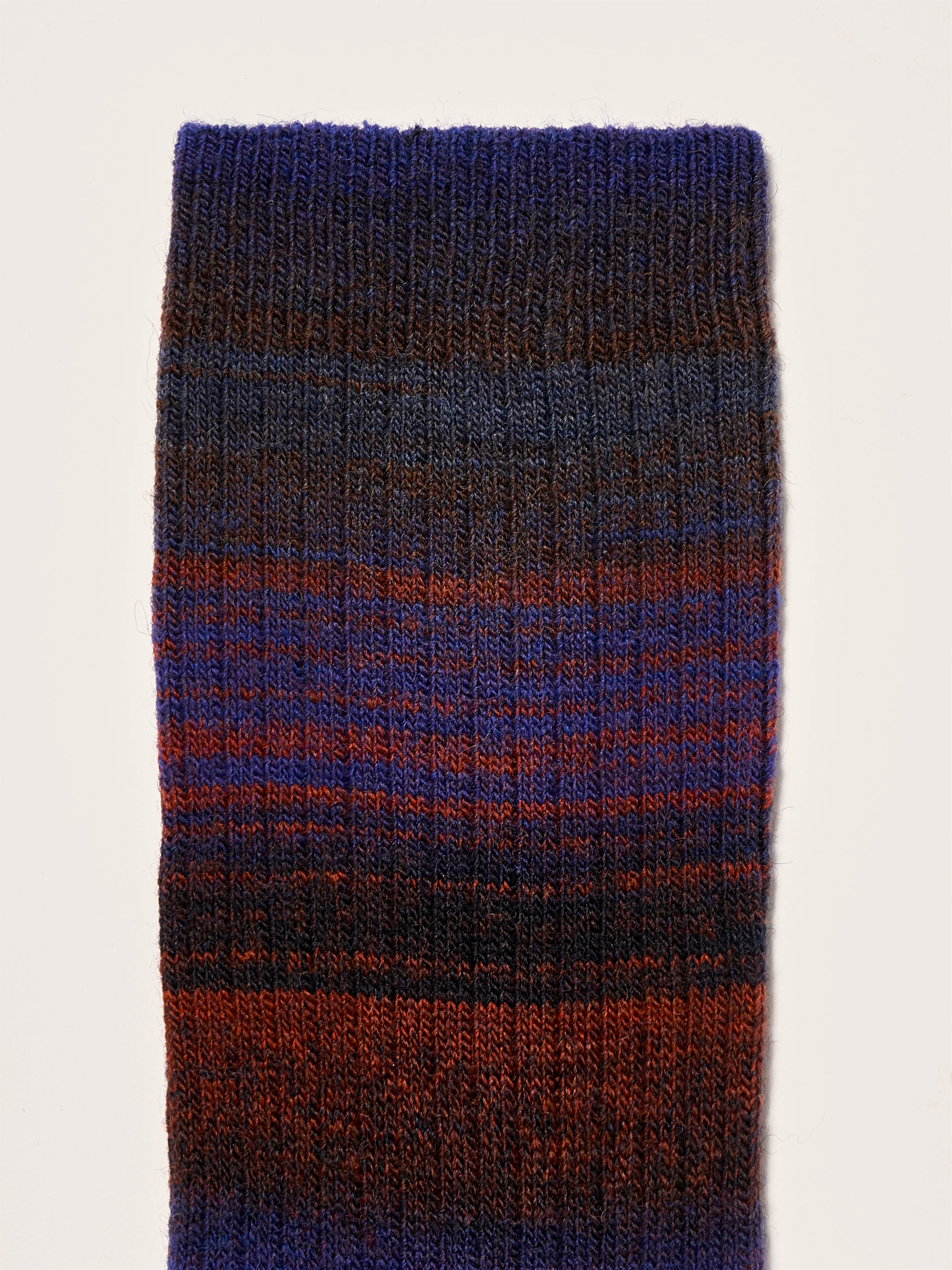 Baque rib-knit socks (242 / W / COMBO A)