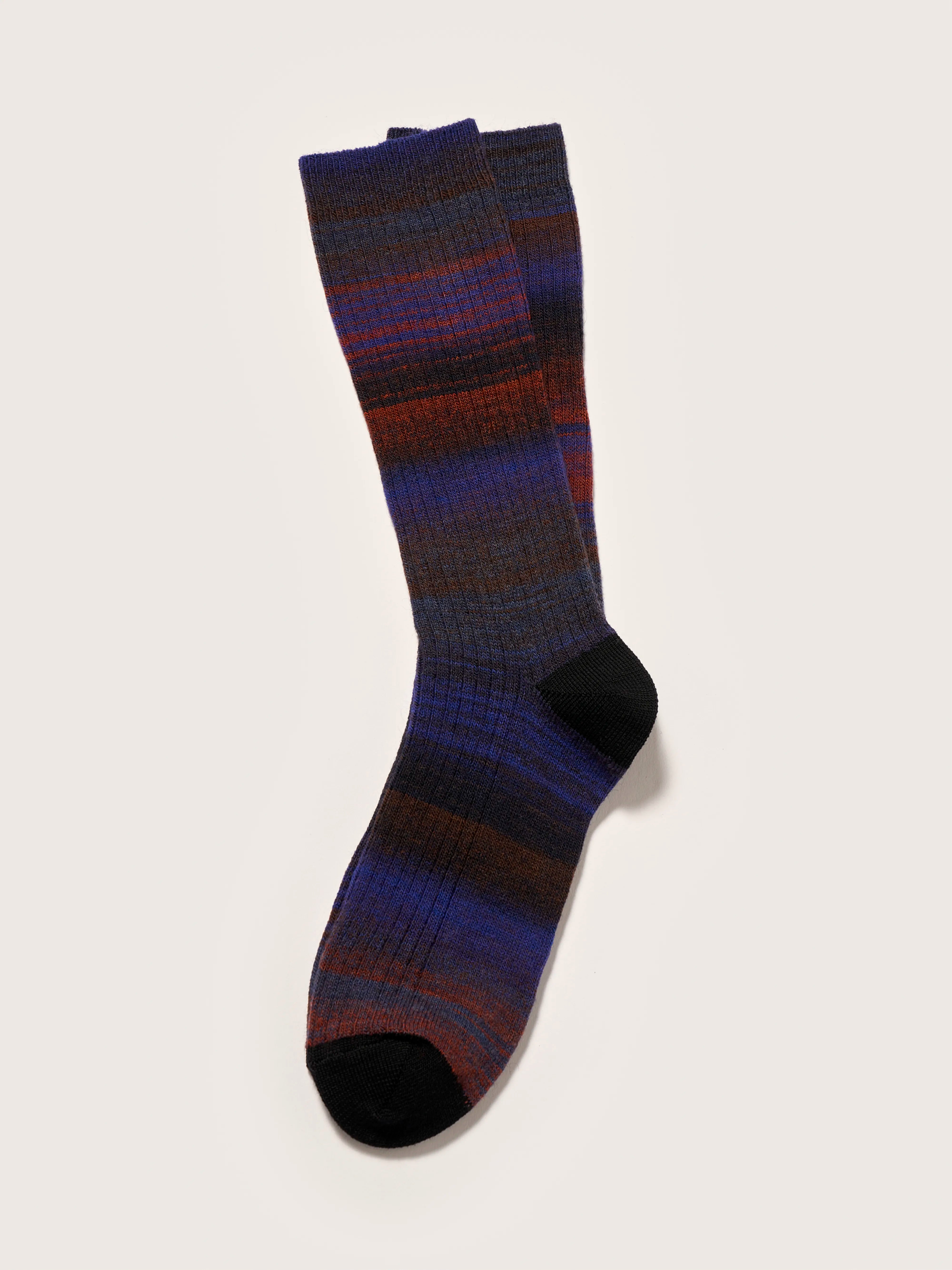 Baque rib-knit socks (242 / W / COMBO A)